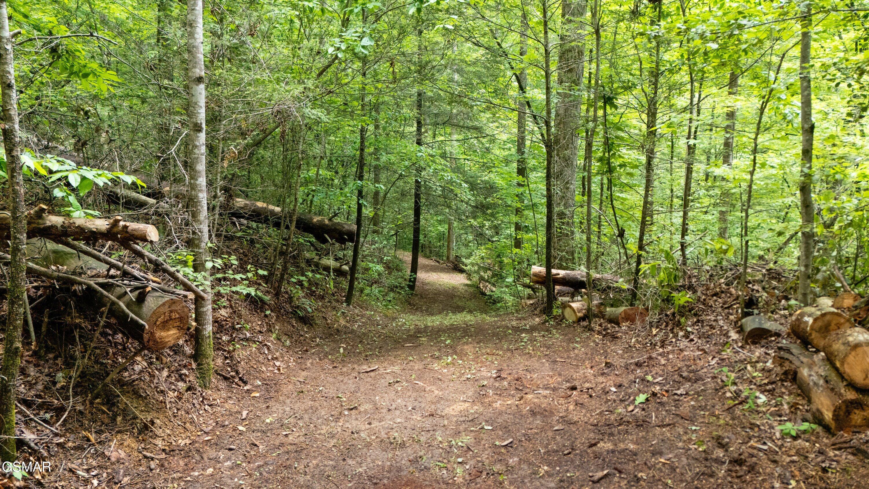 2537 Waldens Creek Road Sevierville TN 37862