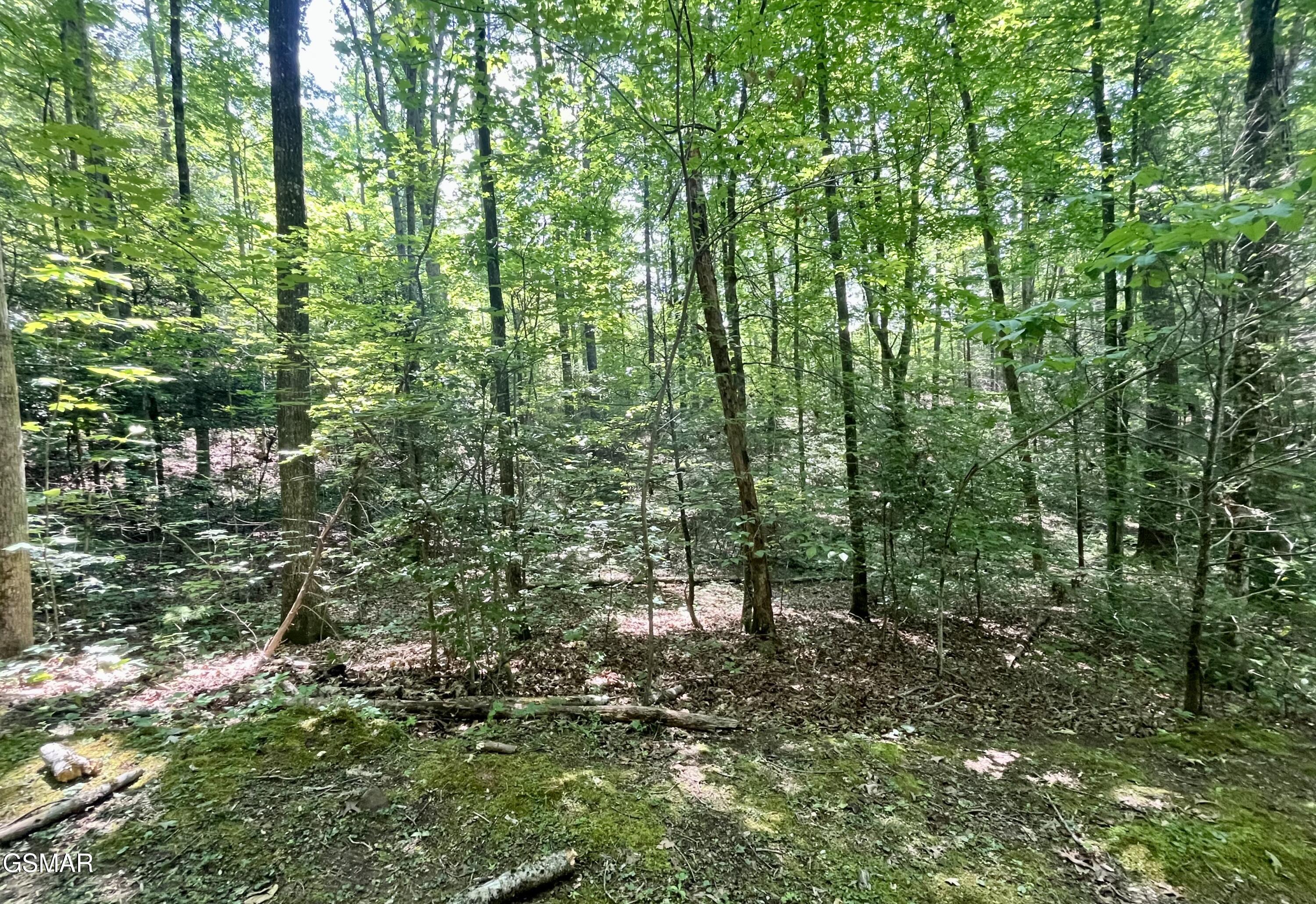 2537 Waldens Creek Road Sevierville TN 37862