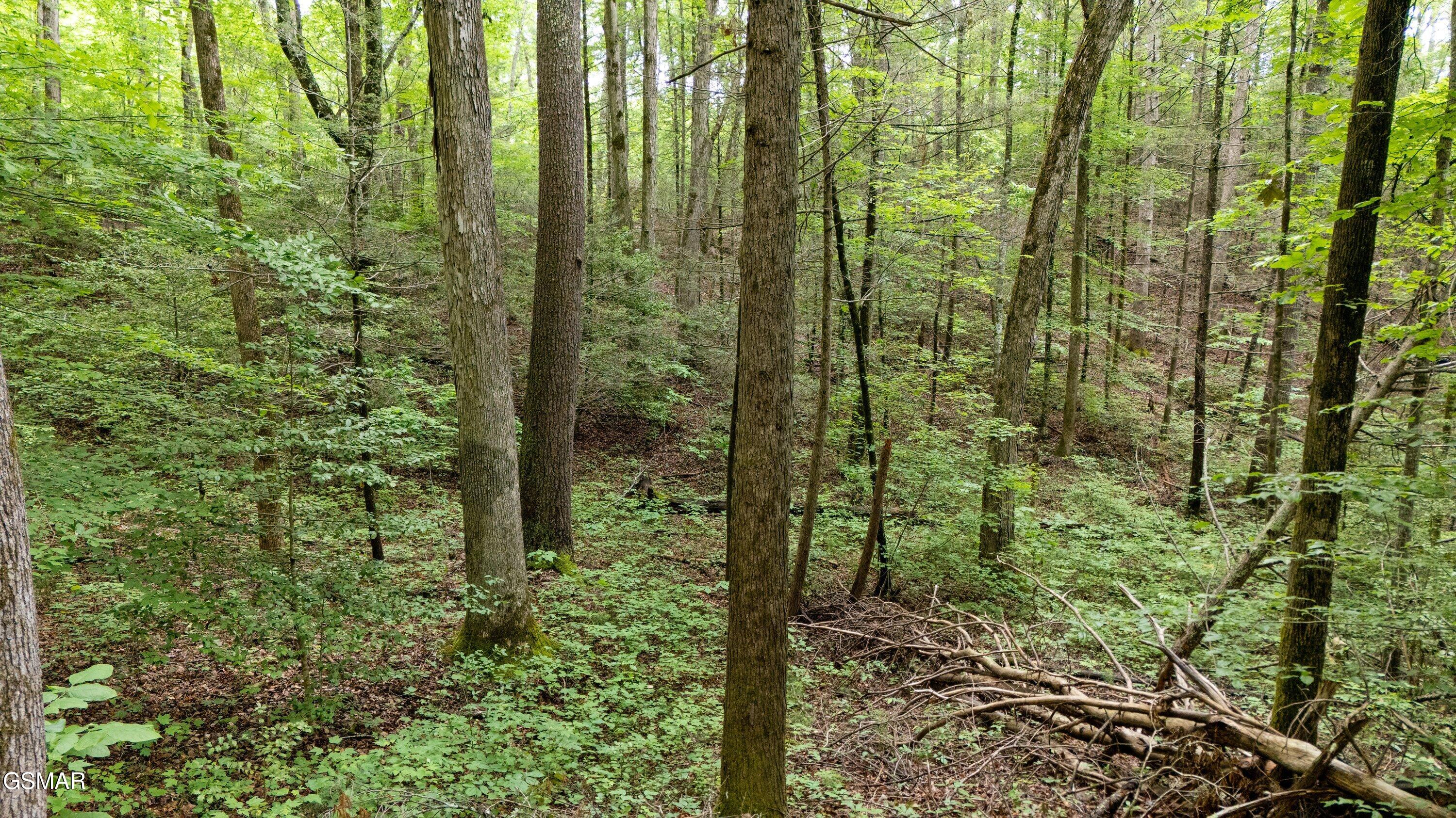 2537 Waldens Creek Road Sevierville TN 37862