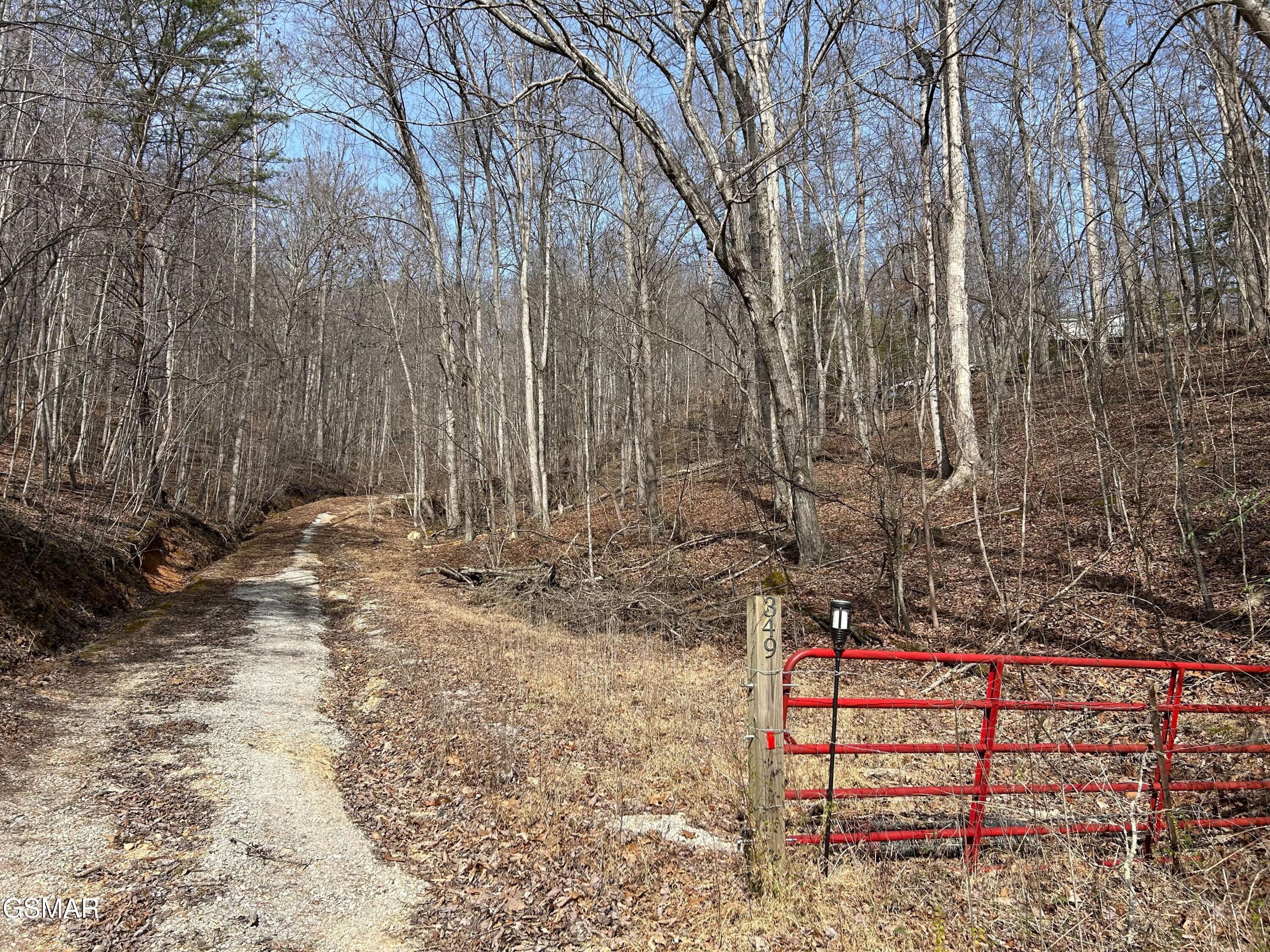 349 S Marlowe Lane Speedwell TN 37870