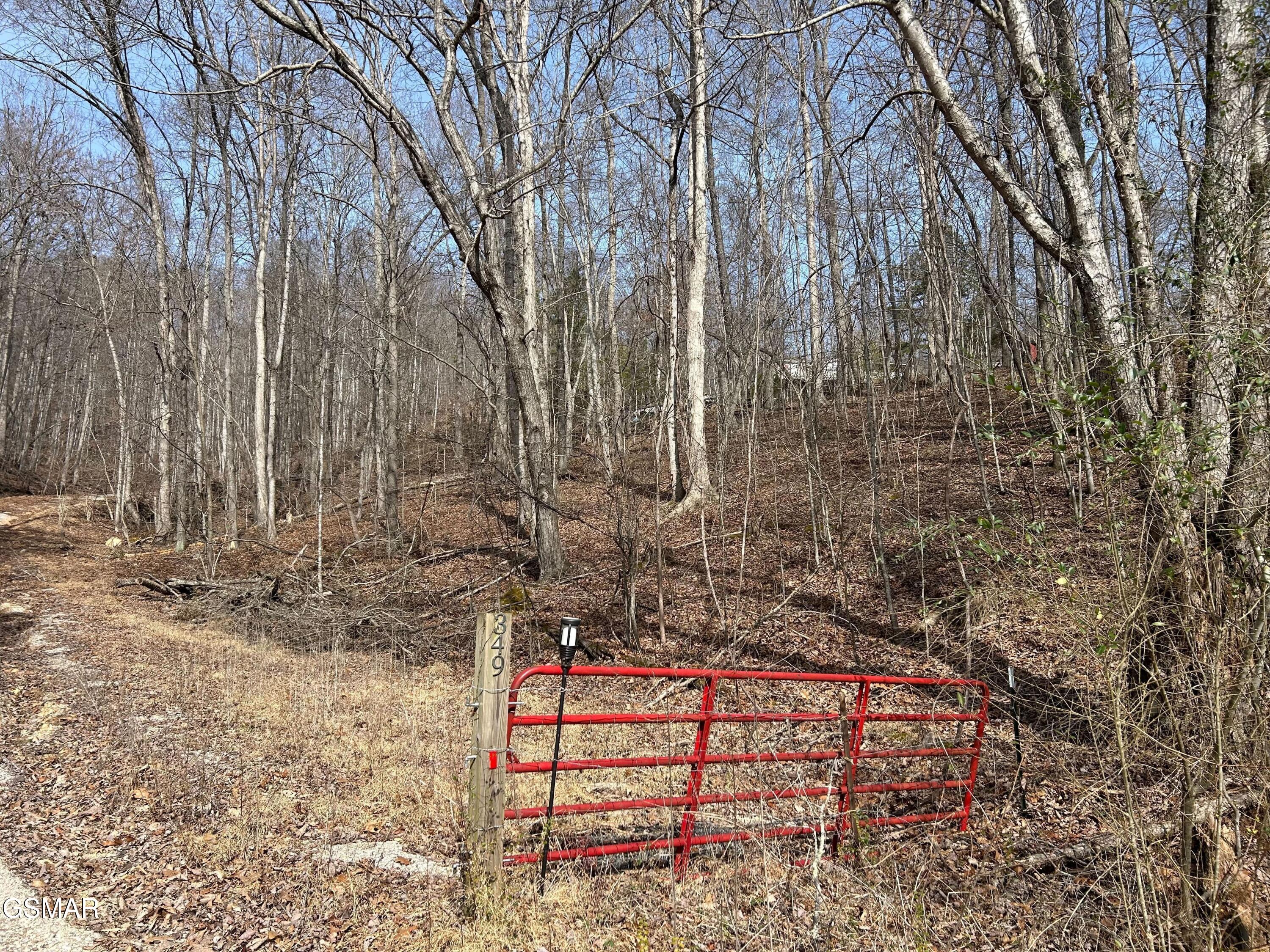 349 S Marlowe Lane Speedwell TN 37870