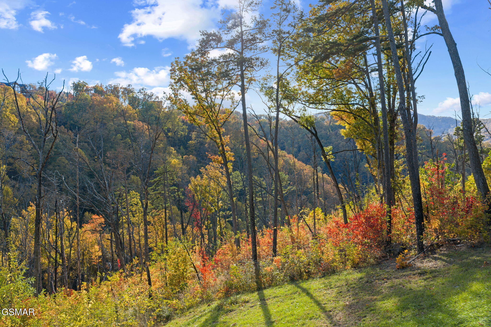 2216 Headrick Lead Sevierville TN 37862