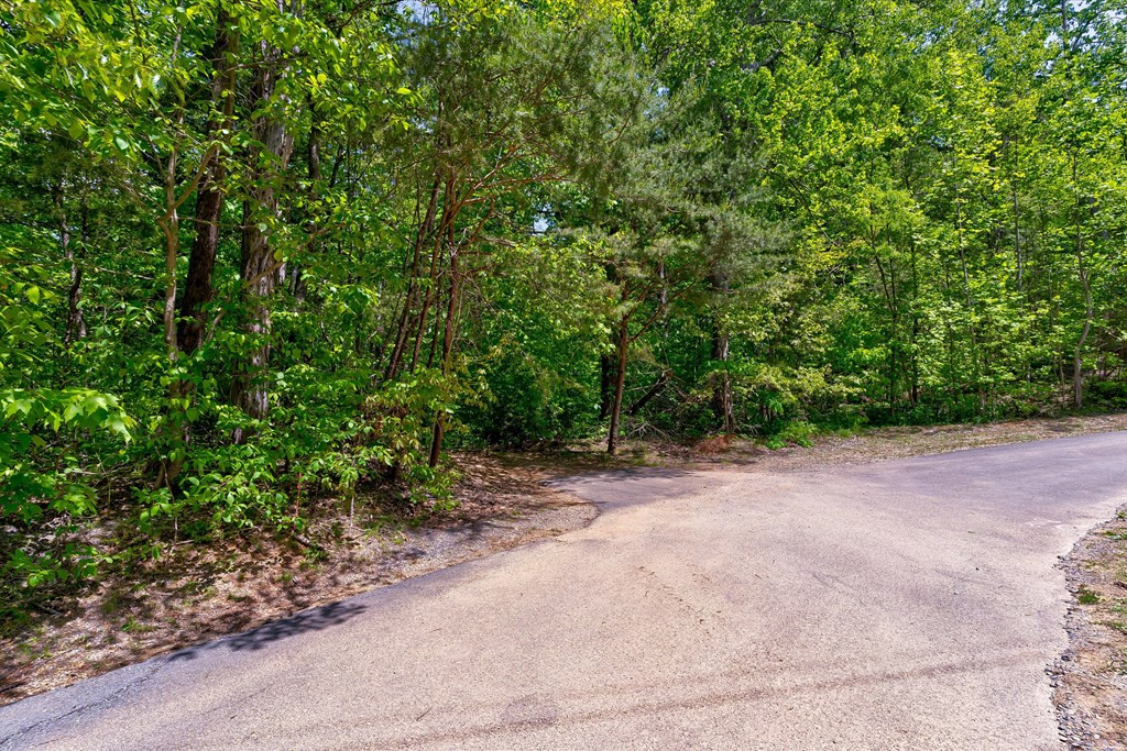 650 Silver Poplar Lane Sevierville TN 37876