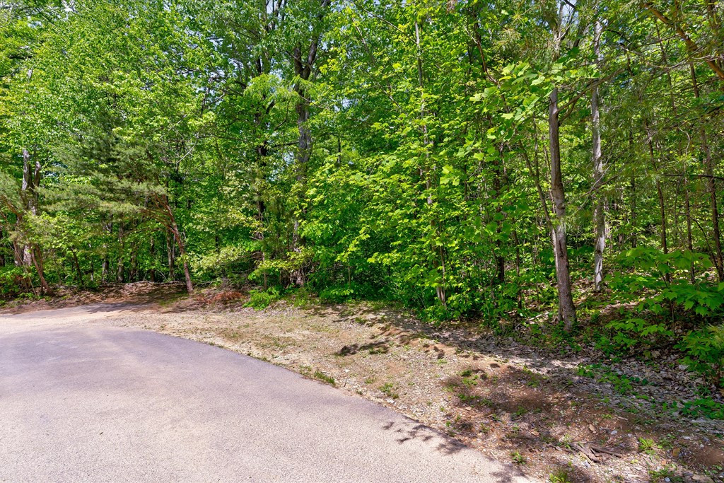 650 Silver Poplar Lane Sevierville TN 37876