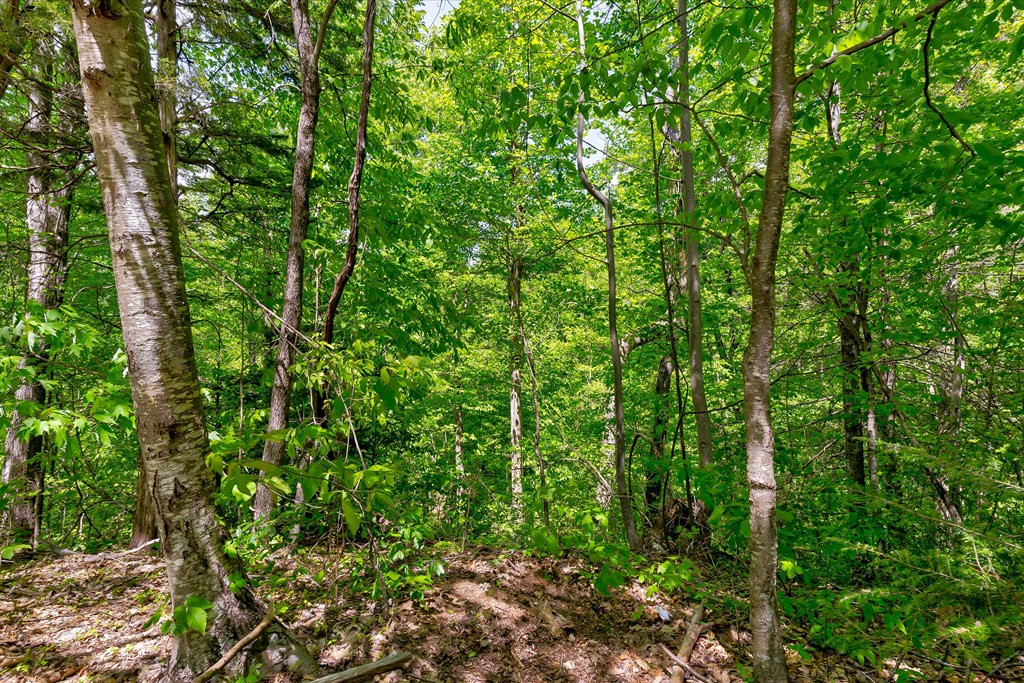 650 Silver Poplar Lane Sevierville TN 37876