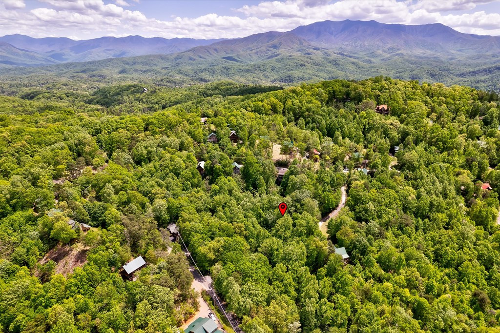 650 Silver Poplar Lane Sevierville TN 37876