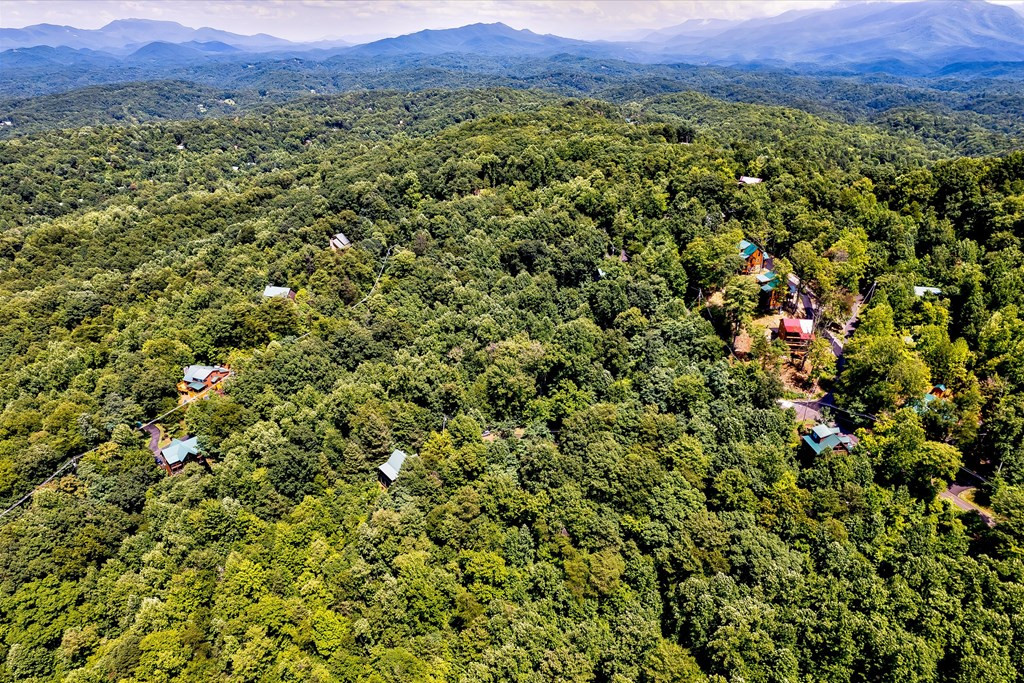 661 Battle Top Road Sevierville TN 37876