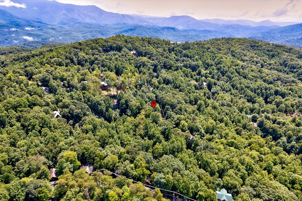 661 Battle Top Road Sevierville TN 37876