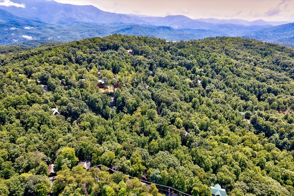 661 Battle Top Road Sevierville TN 37876