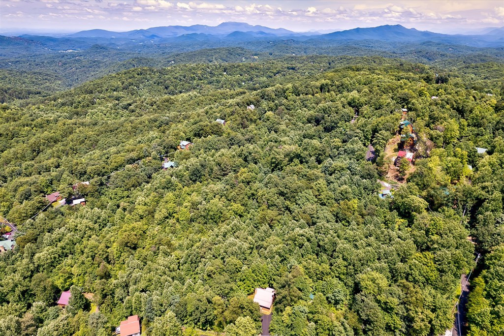 661 Battle Top Road Sevierville TN 37876