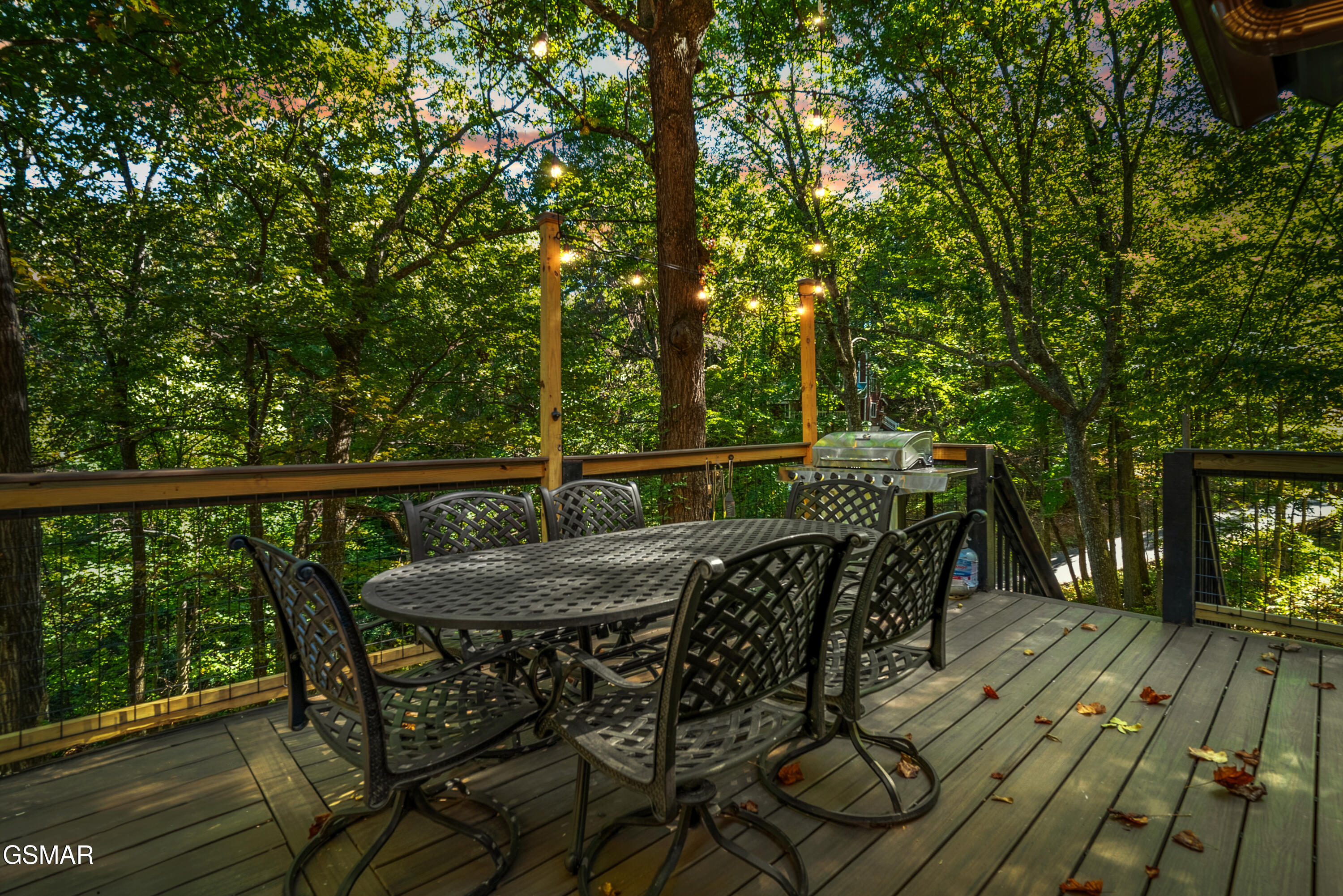 1910 Saint Moritz Drive Gatlinburg TN 37738