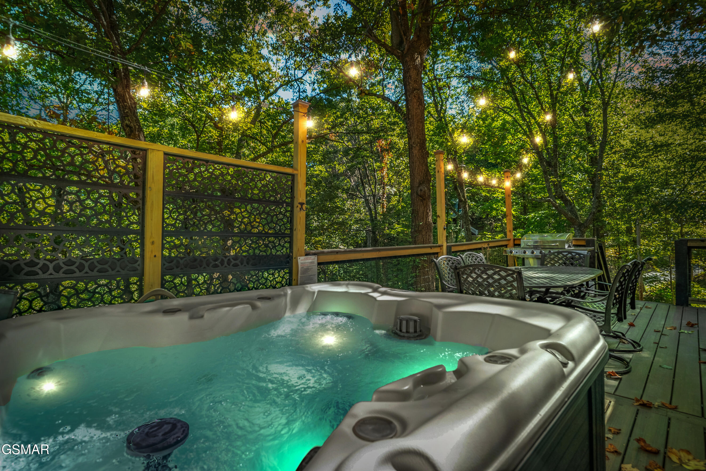 1910 Saint Moritz Drive Gatlinburg TN 37738