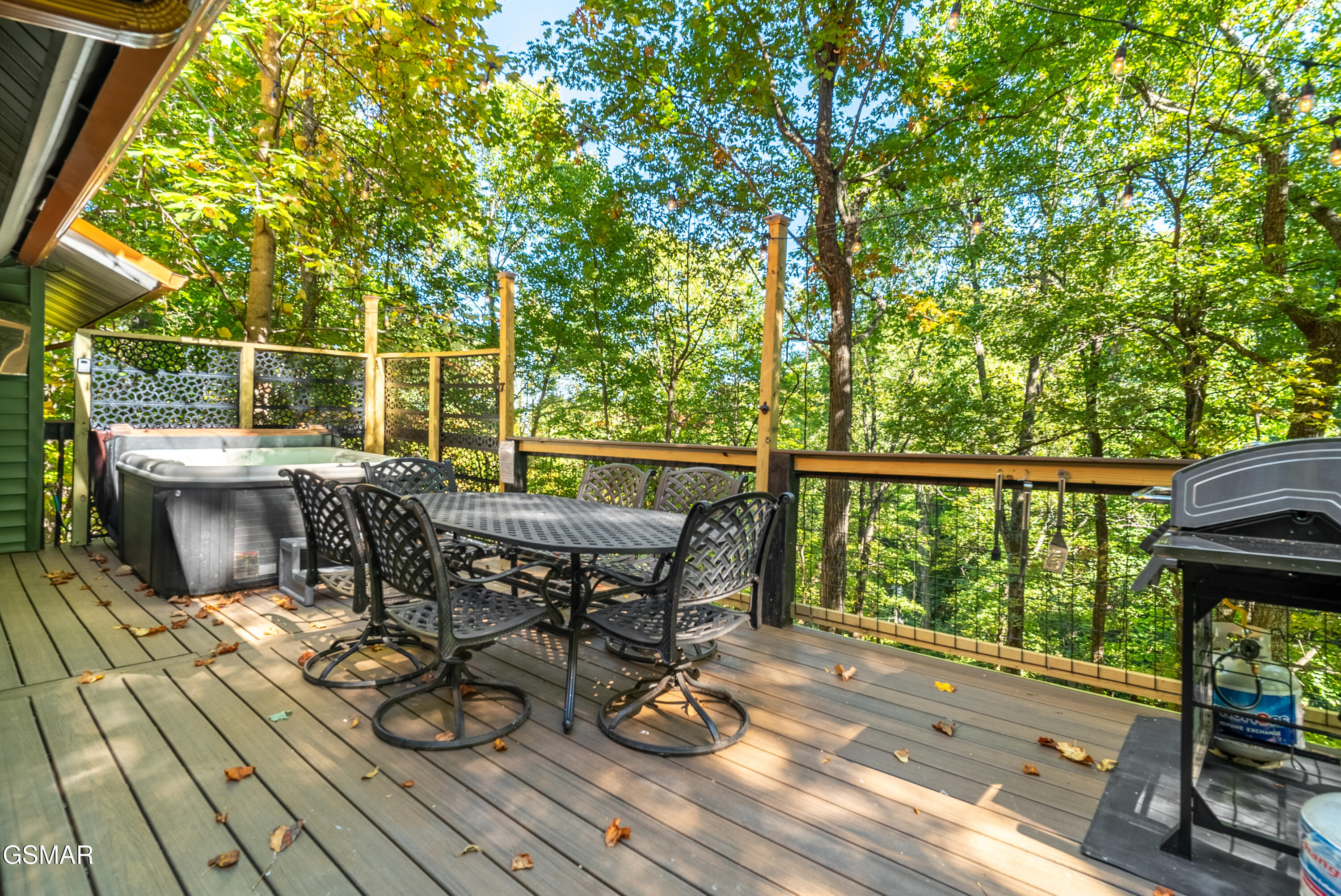 1910 Saint Moritz Drive Gatlinburg TN 37738