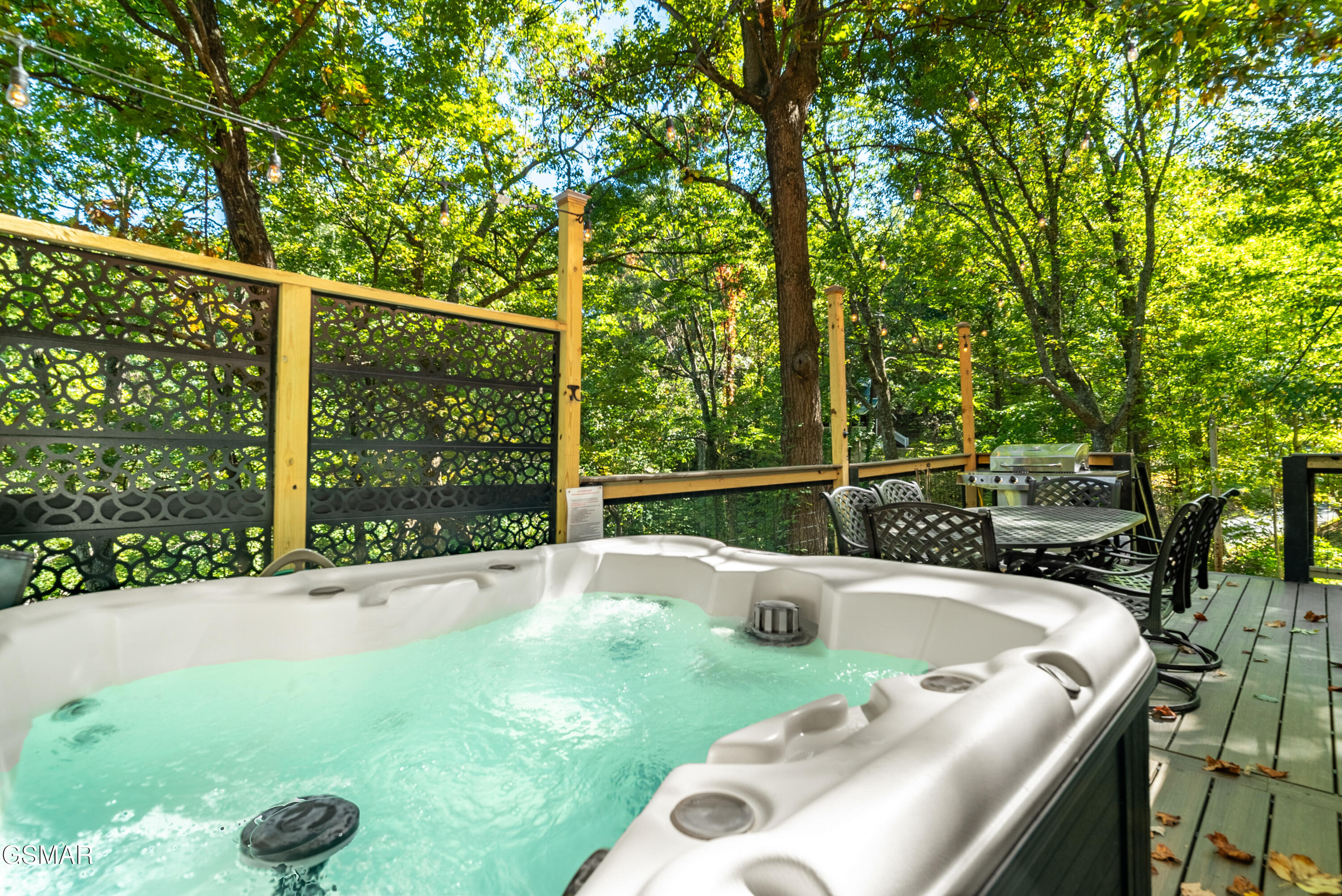 1910 Saint Moritz Drive Gatlinburg TN 37738