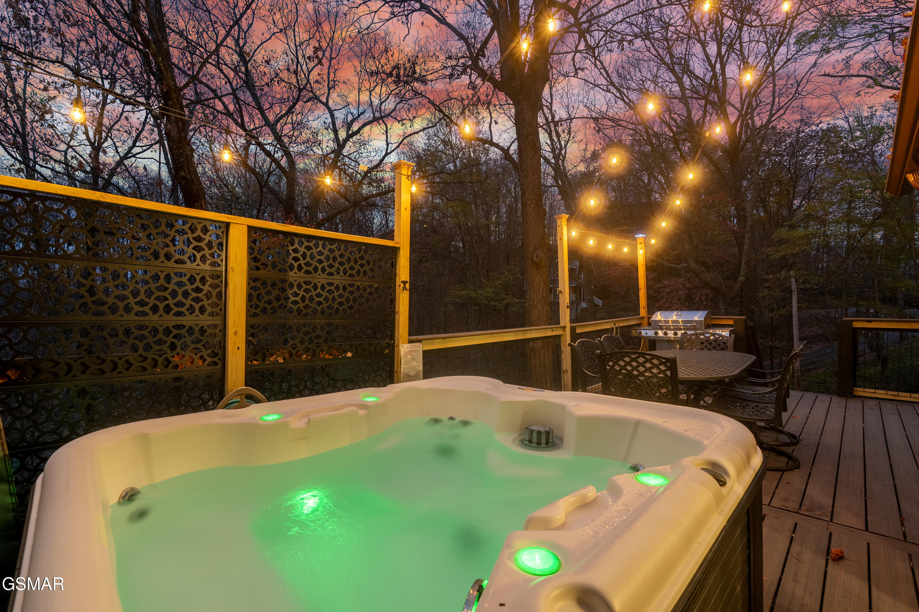 1910 Saint Moritz Drive Gatlinburg TN 37738