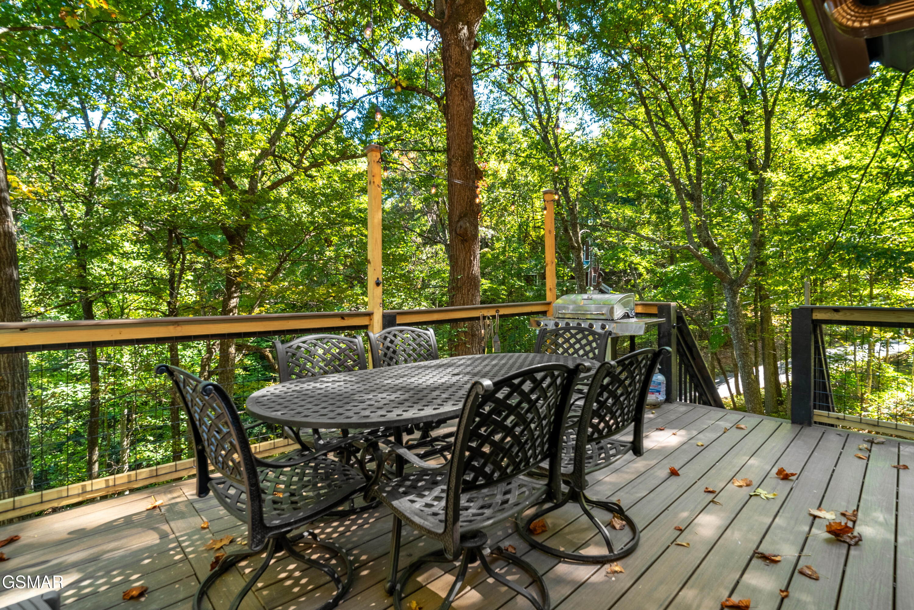 1910 Saint Moritz Drive Gatlinburg TN 37738