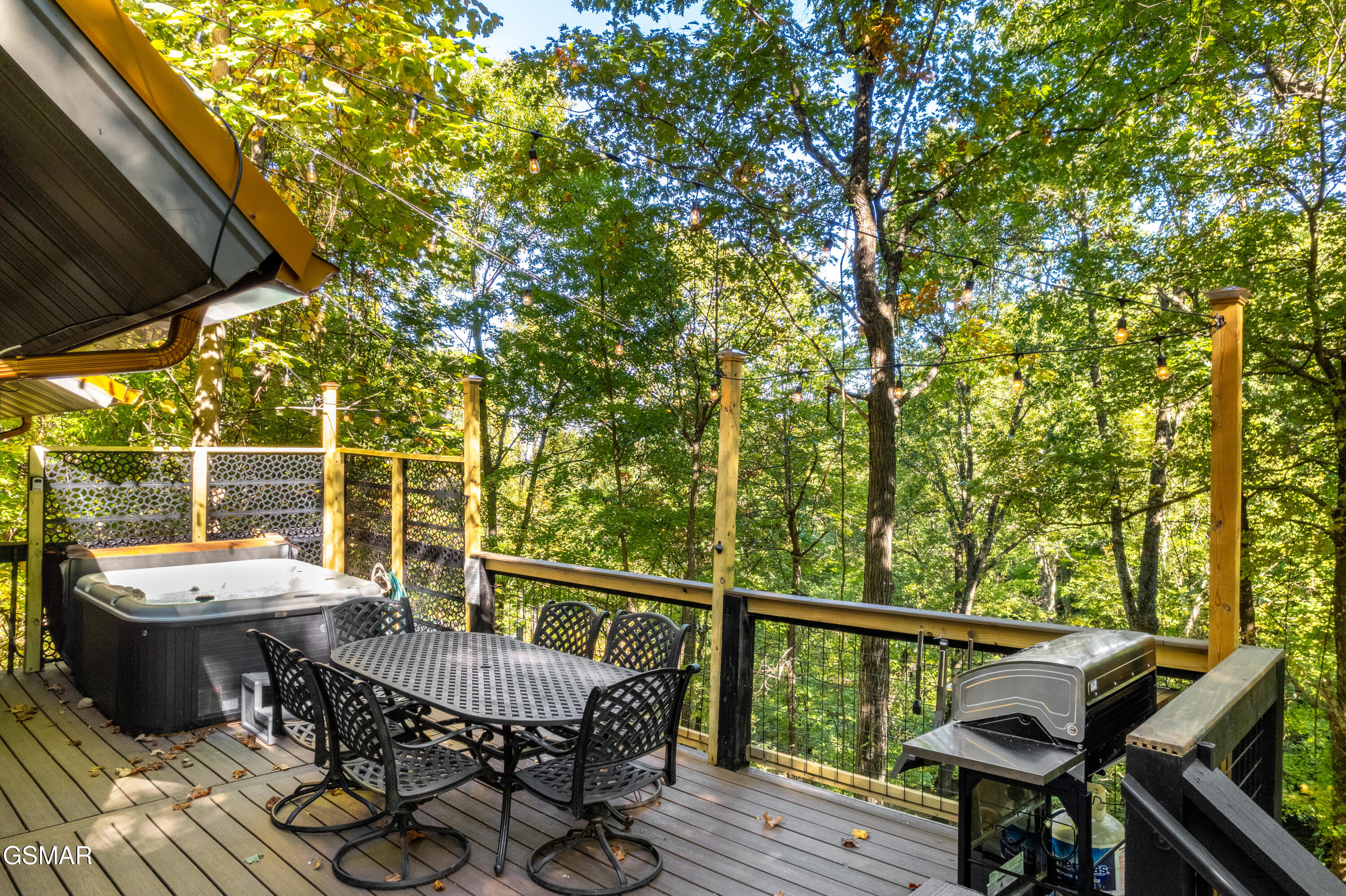 1910 Saint Moritz Drive Gatlinburg TN 37738
