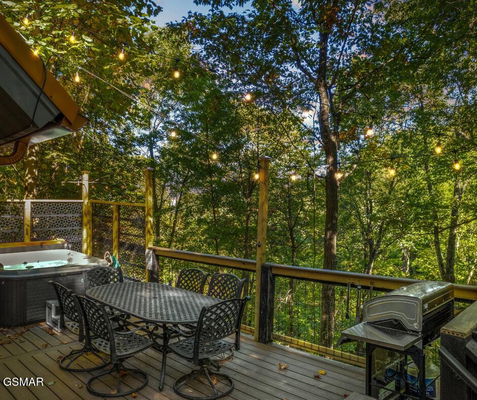 1910 Saint Moritz Drive Gatlinburg TN 37738