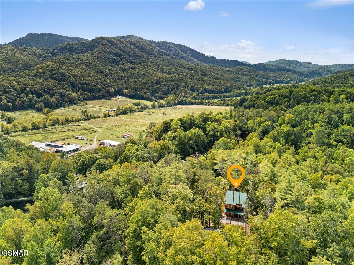 2932 Ginas Way Sevierville TN 37862