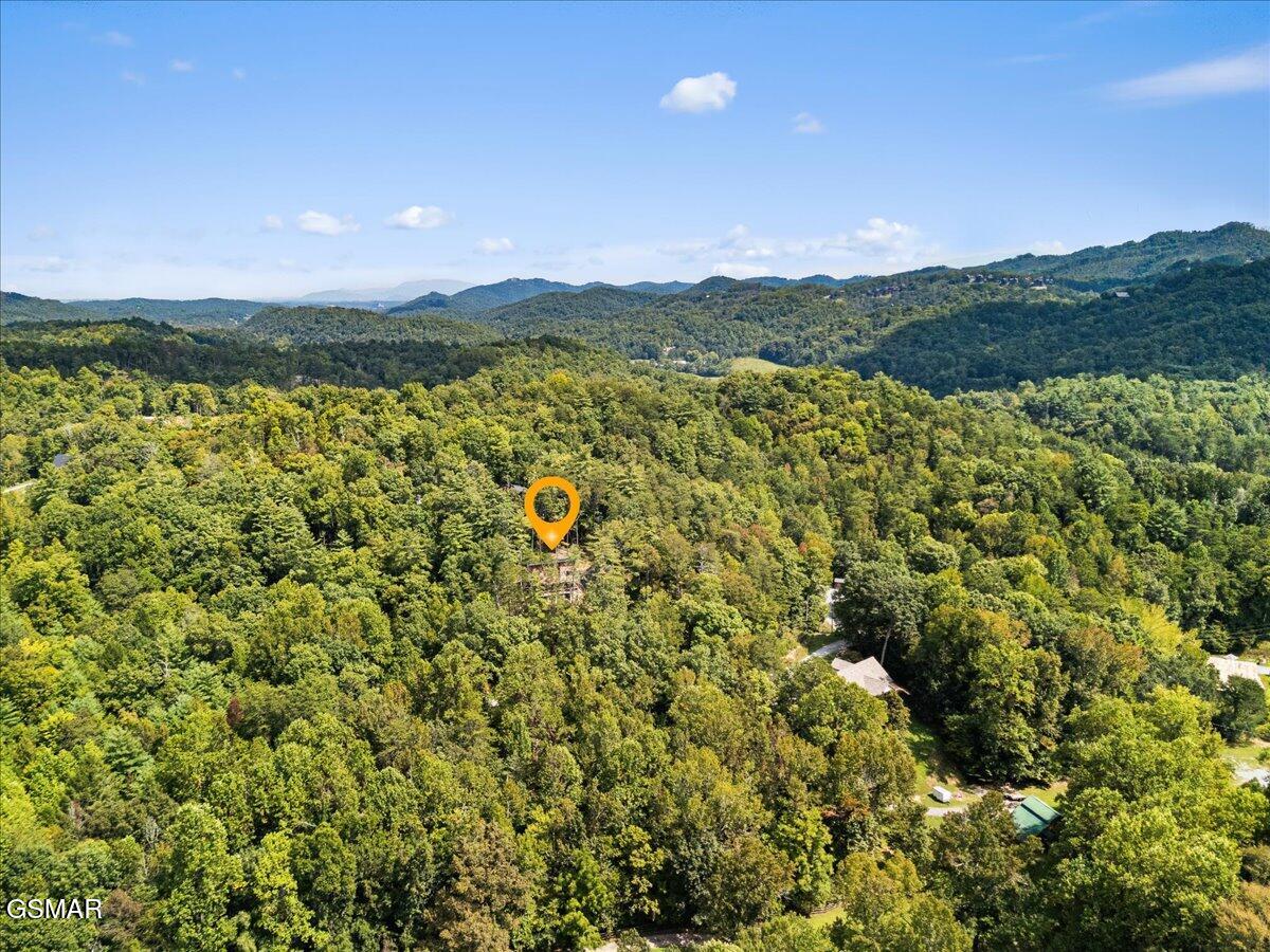 2932 Ginas Way Sevierville TN 37862