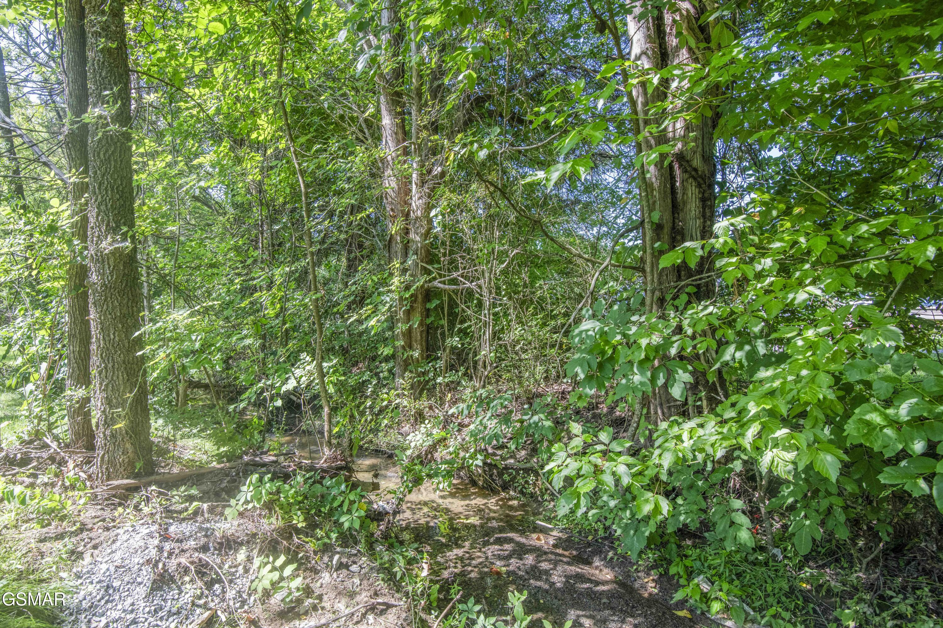 2329 Rock Gardens Drive Sevierville TN 37876