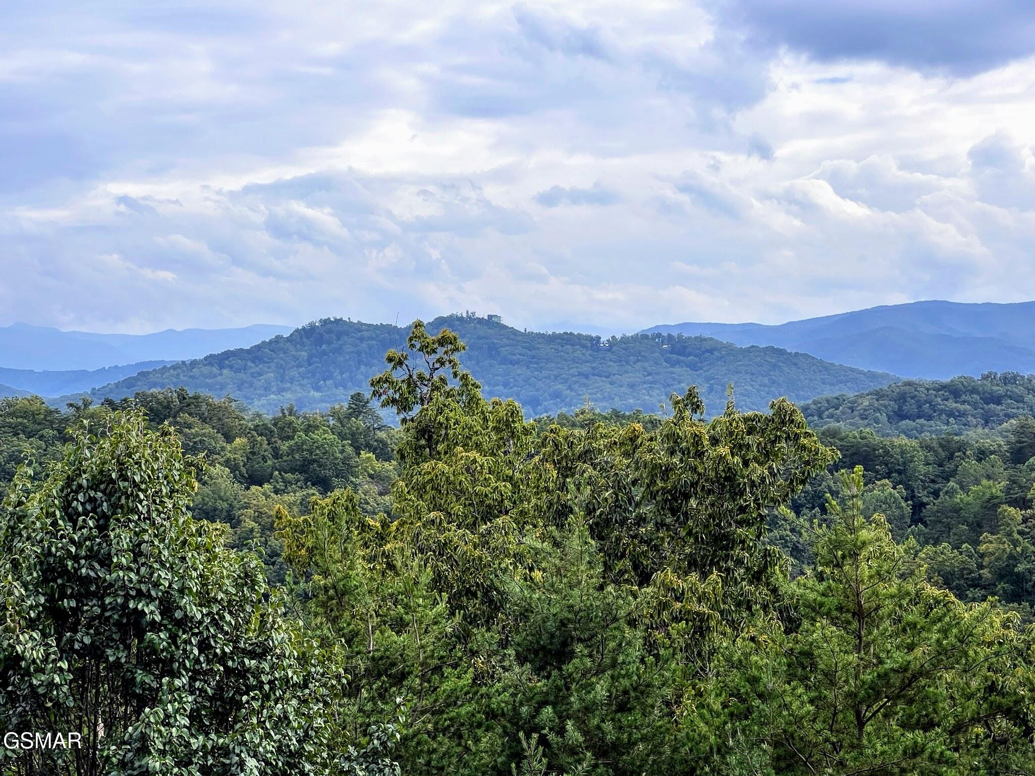 1107 N Trail Drive Sevierville TN 37862