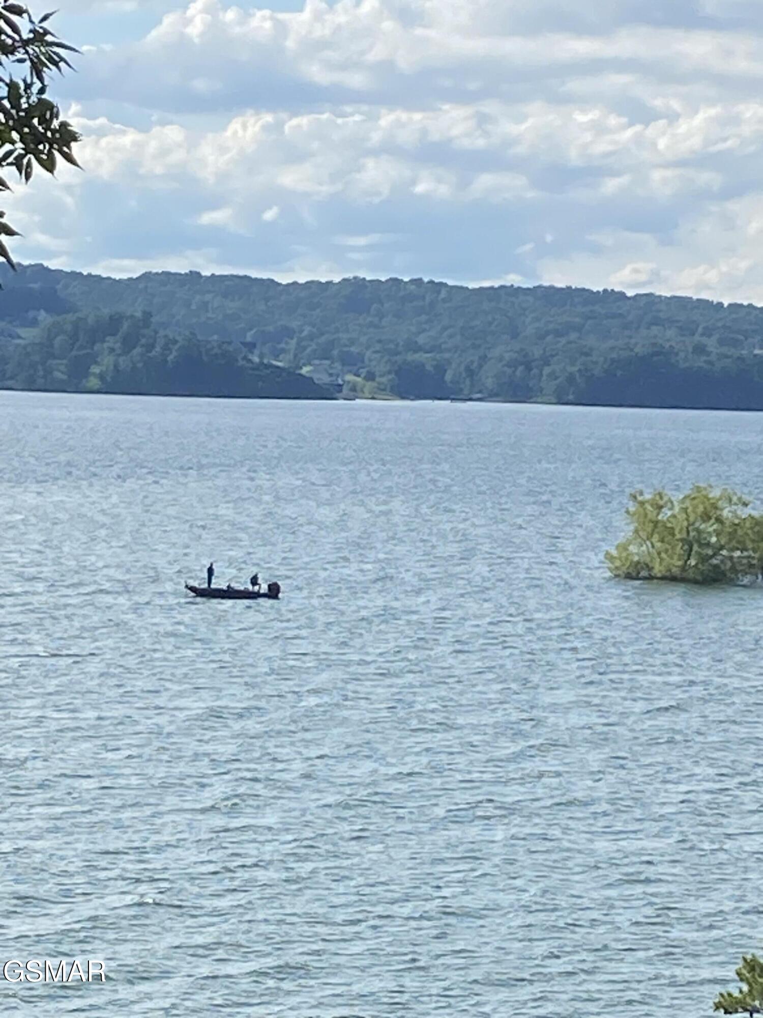 1594 Kinder Lane Dandridge TN 37725