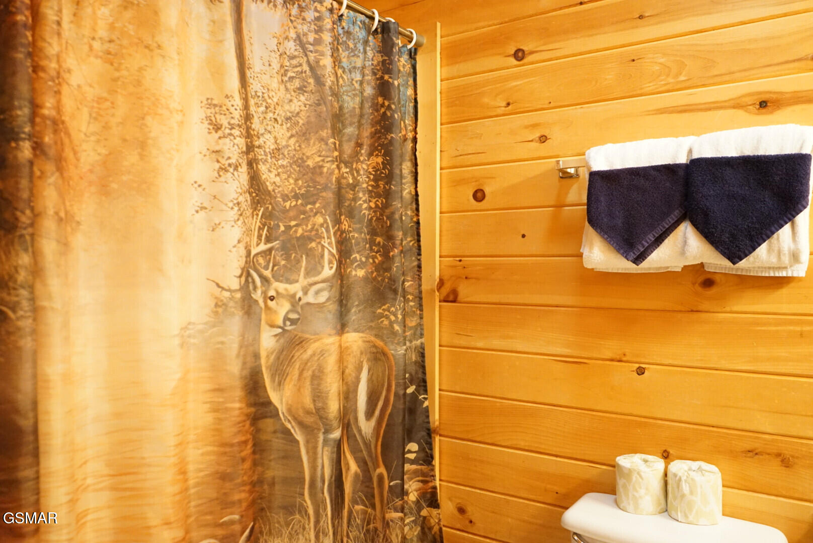 1825 Trout Way Sevierville TN 37862