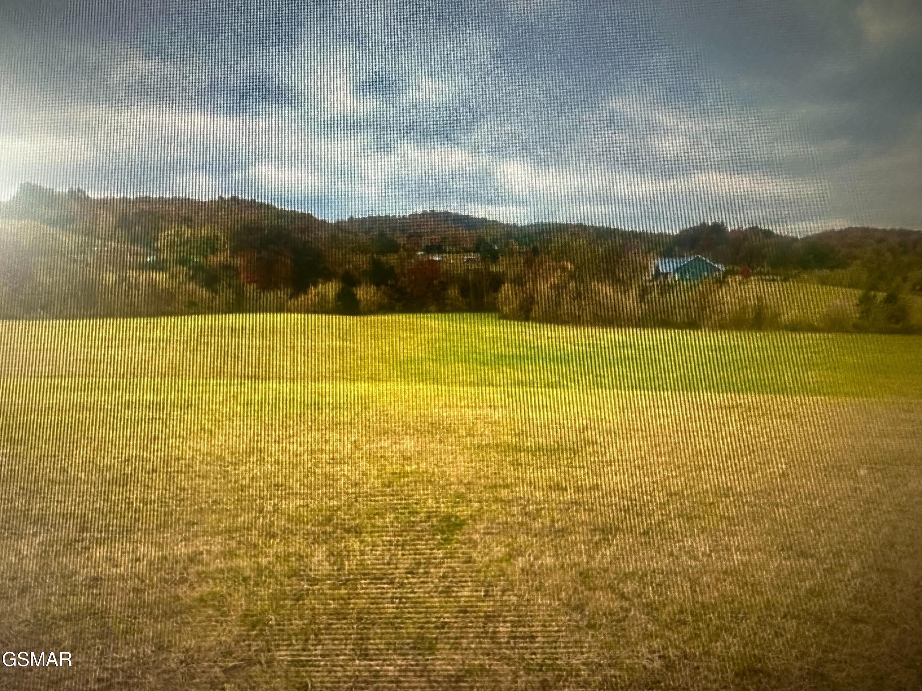 252 Toppy Russell Lane Speedwell TN 37870
