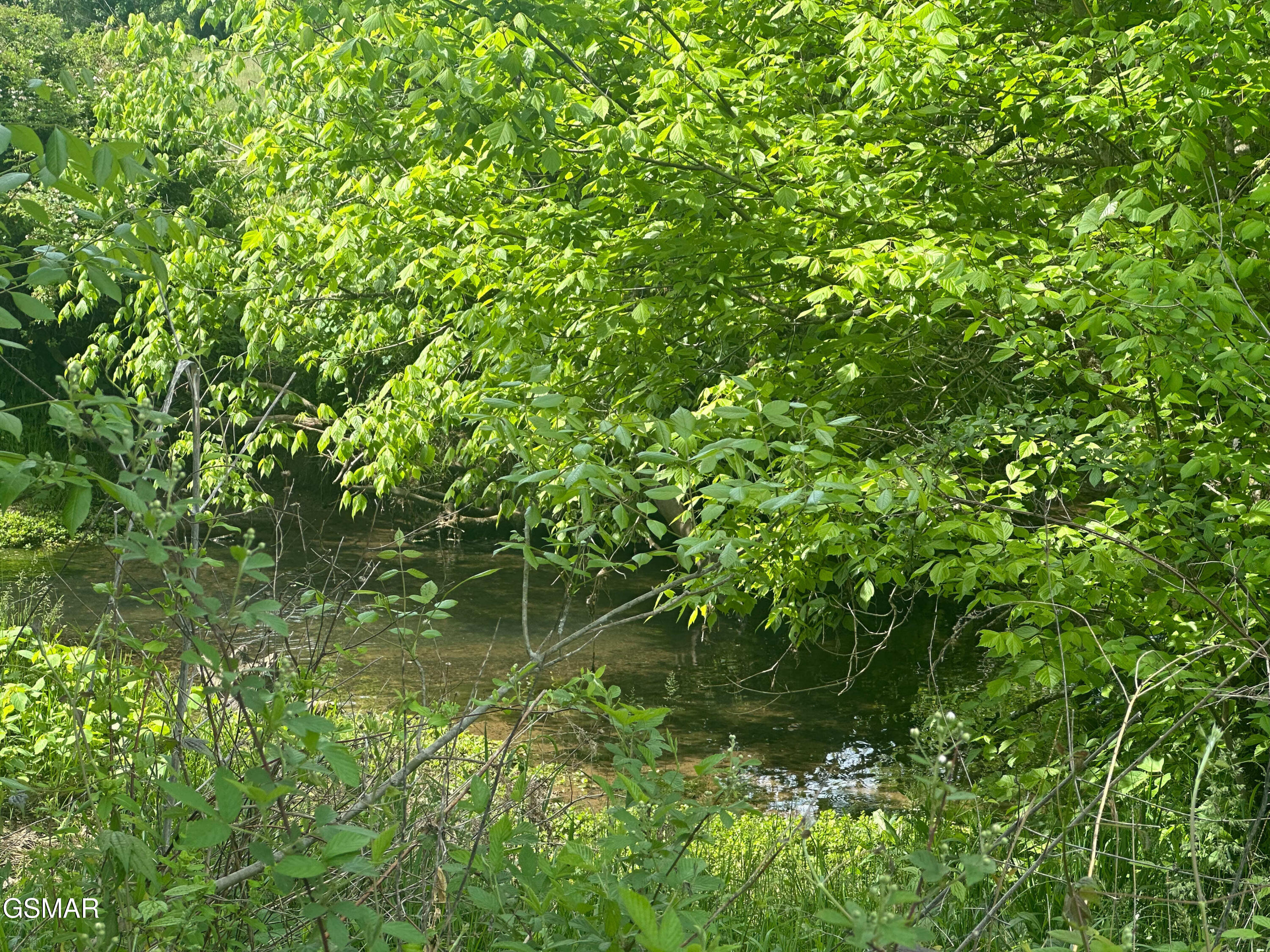 252 Toppy Russell Lane Speedwell TN 37870