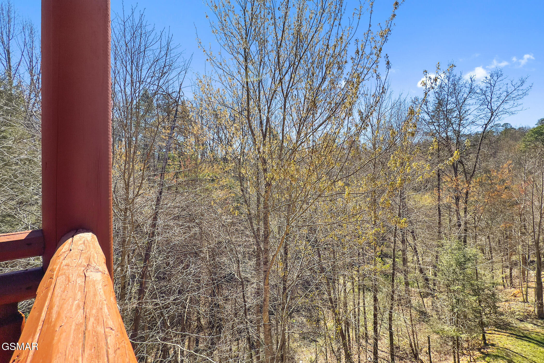 4355 Forest Ridge Way Pigeon Forge TN 37863