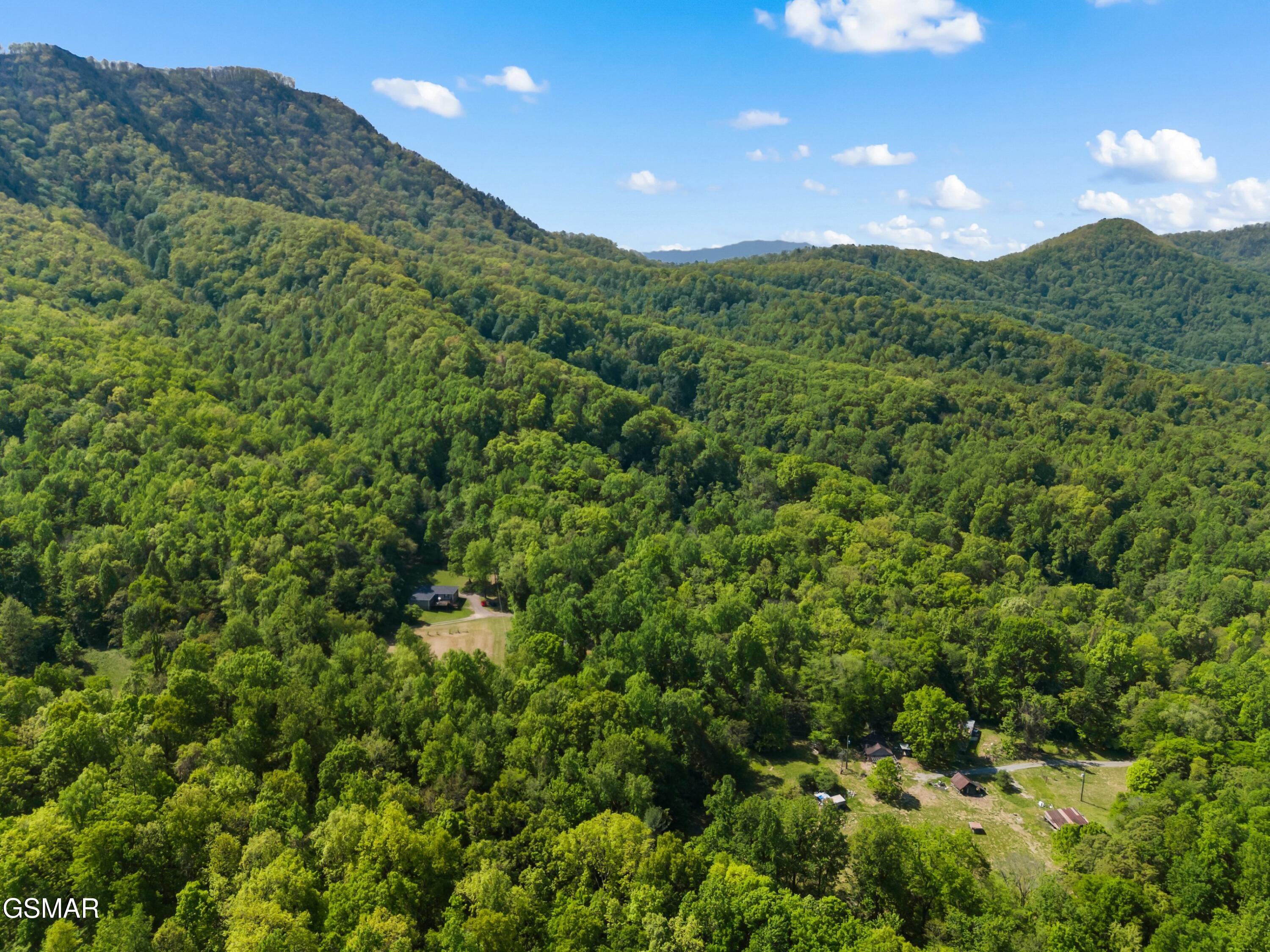 874 Layman Drive Dandridge TN 37725