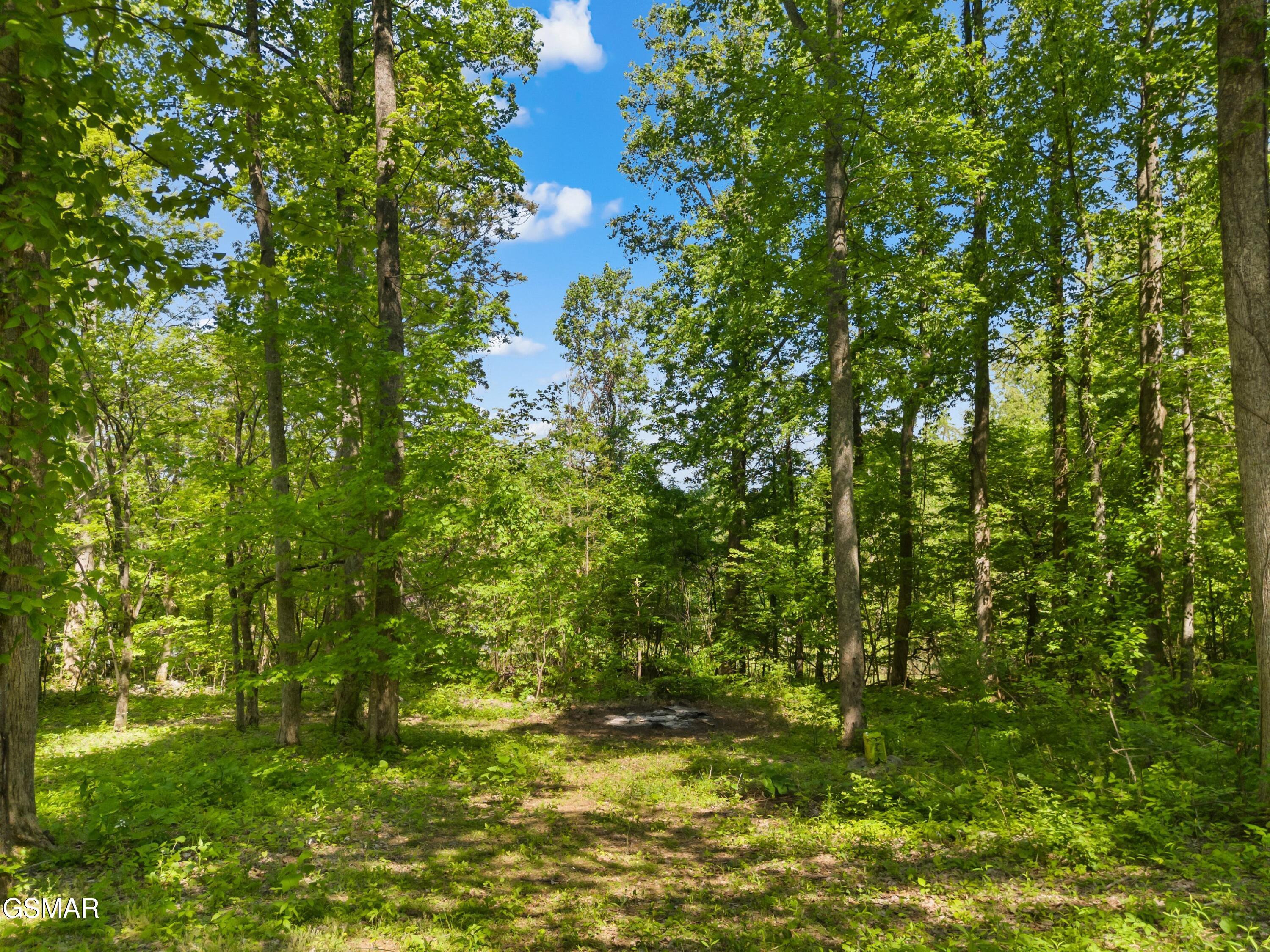874 Layman Drive Dandridge TN 37725