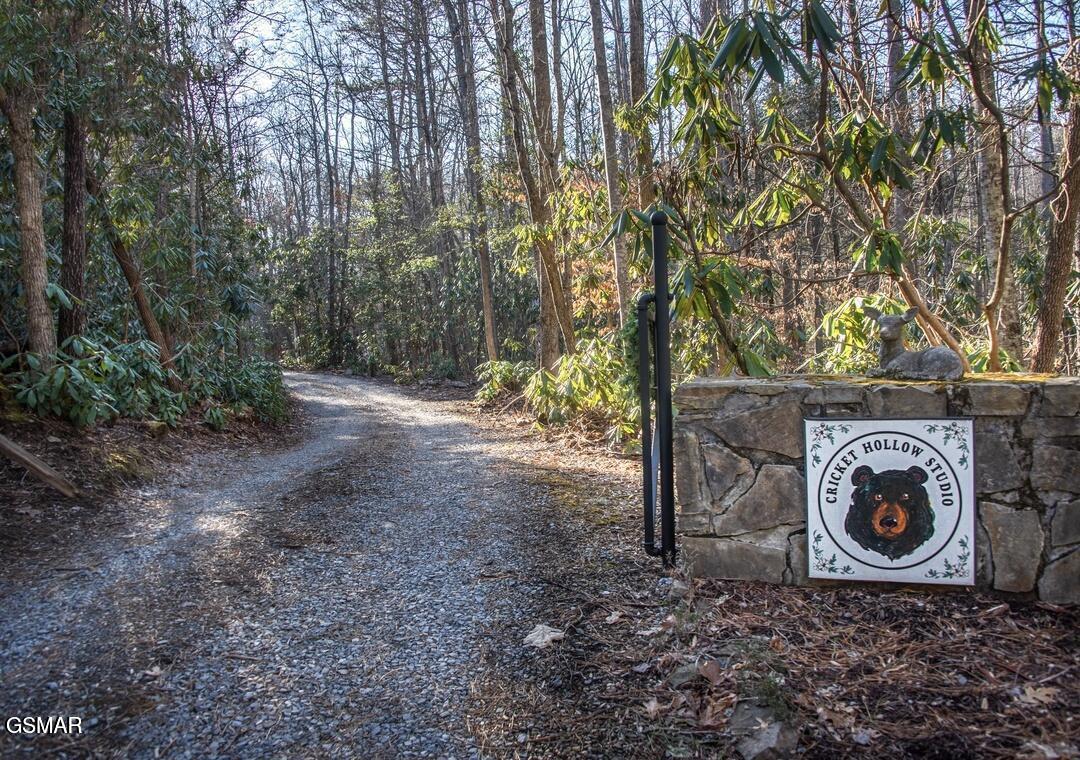 125 Cricket Hollow Way Cosby TN 37722