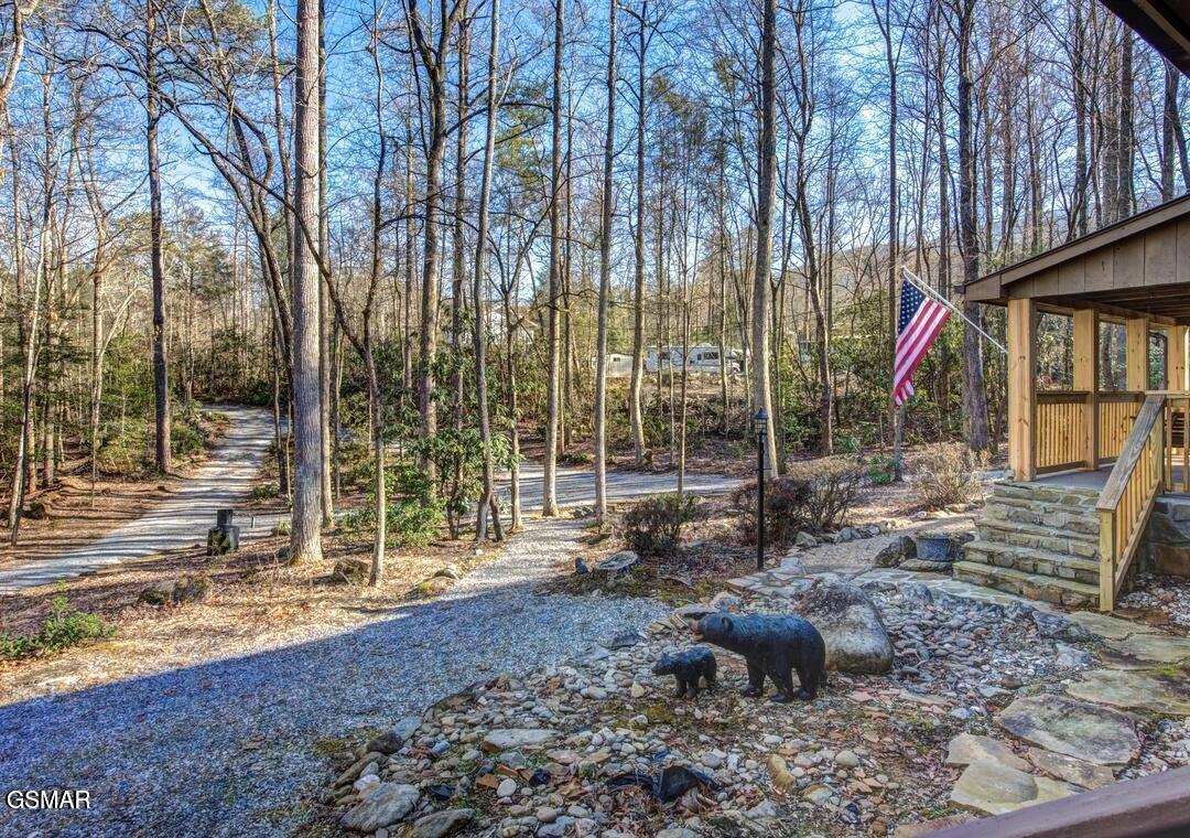 125 Cricket Hollow Way Cosby TN 37722