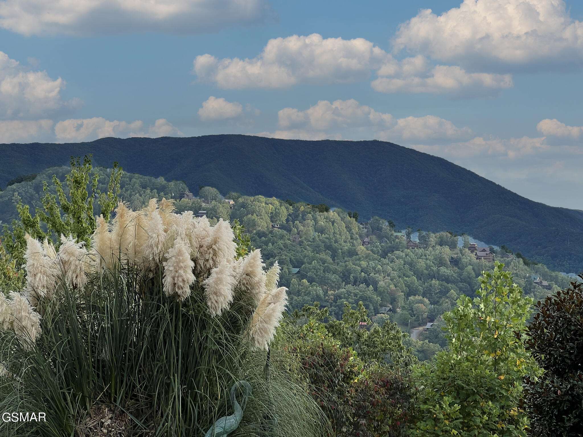 1642 Little Cove Road Sevierville TN 37862