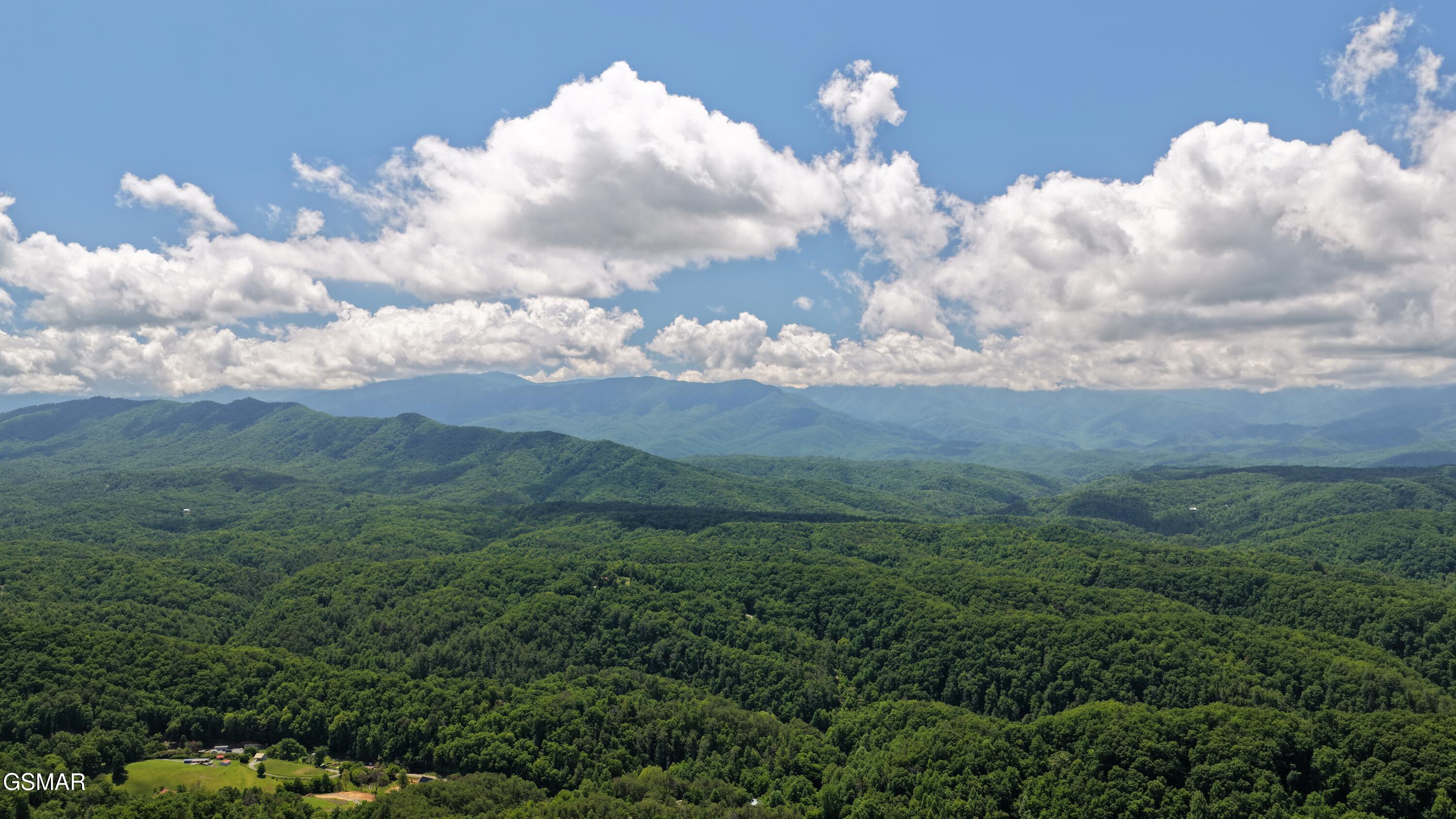 3661 Richardson Cove Road Sevierville TN 37876