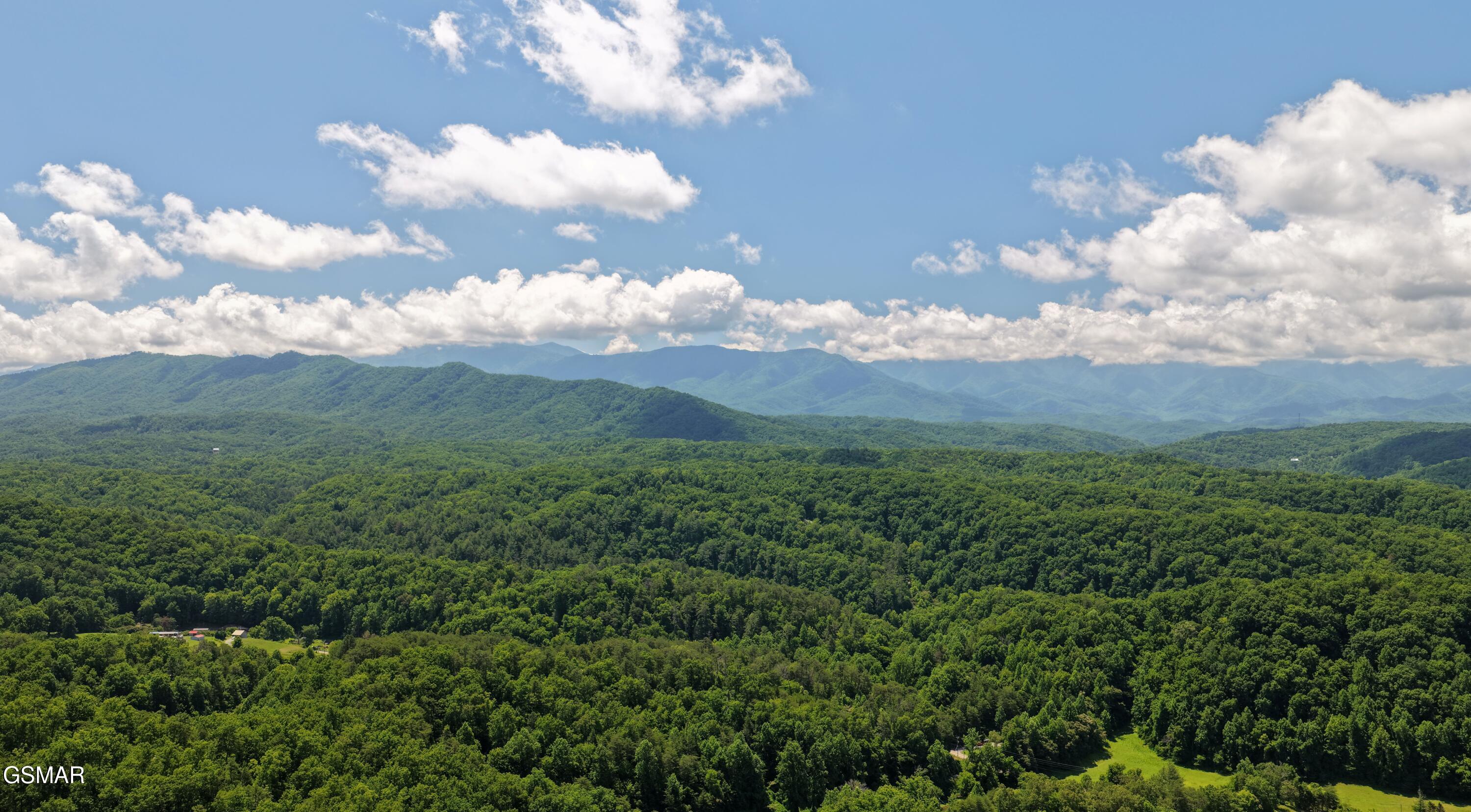 3661 Richardson Cove Road Sevierville TN 37876