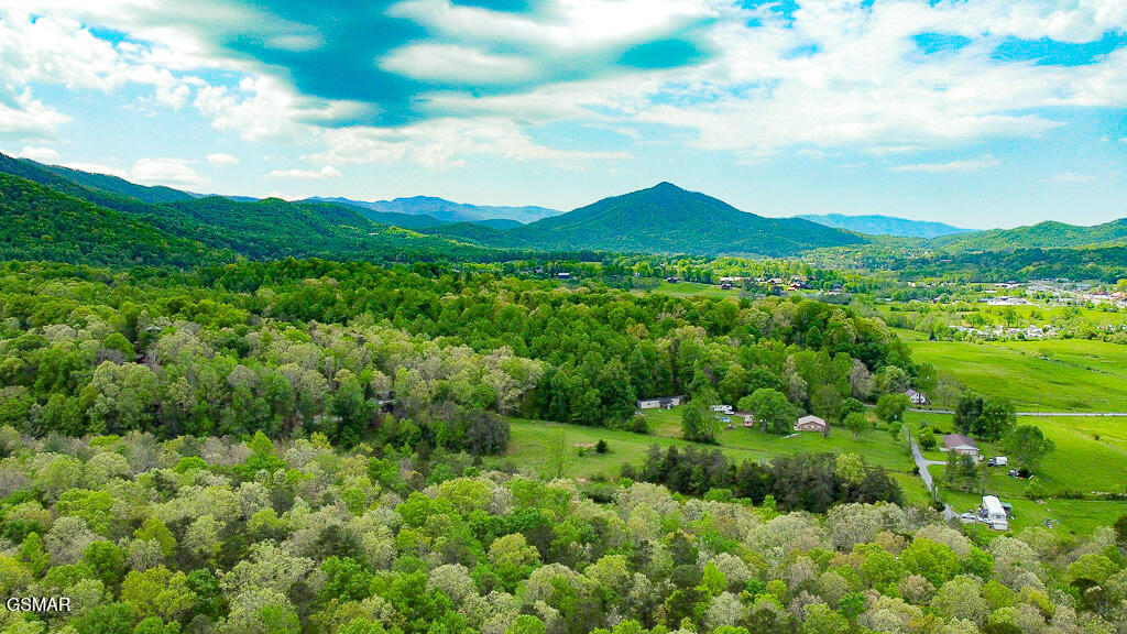 3806 Revetta Circle Sevierville TN 37862