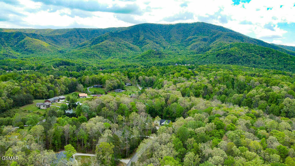 3806 Revetta Circle Sevierville TN 37862