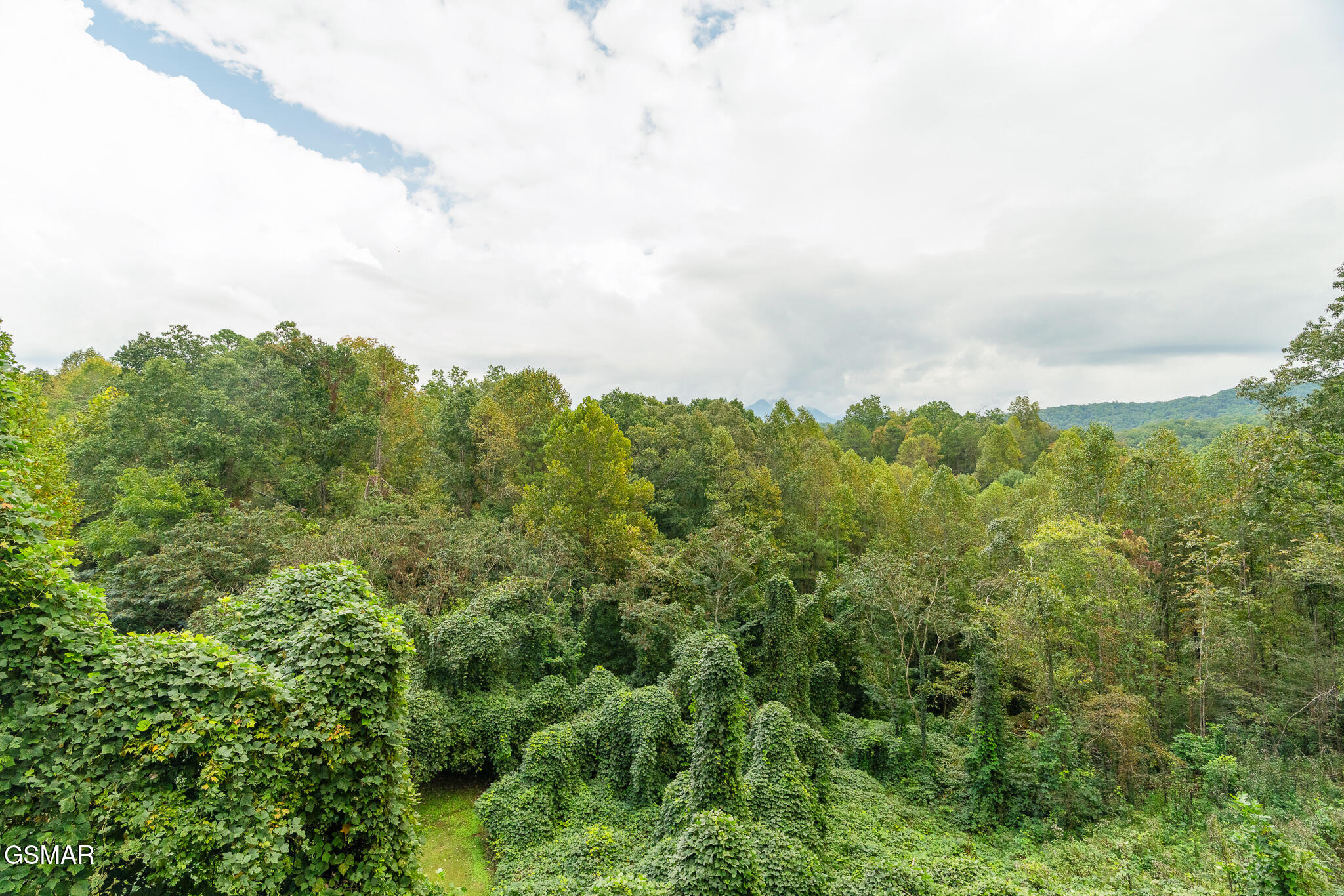 245 Moneymaker Circle Gatlinburg TN 37738