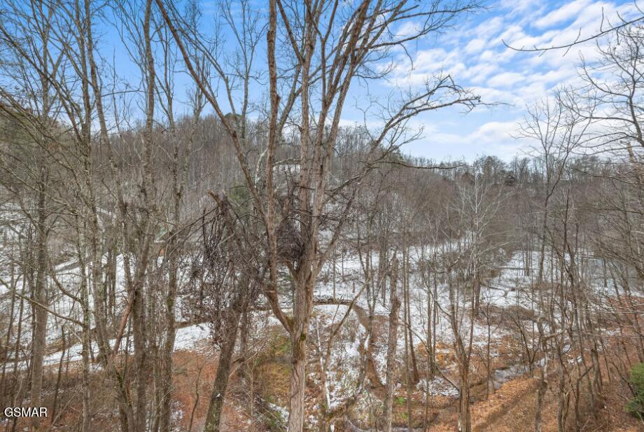 1446 Silver Poplar Lane Sevierville TN 37876