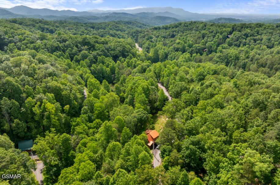 1446 Silver Poplar Lane Sevierville TN 37876