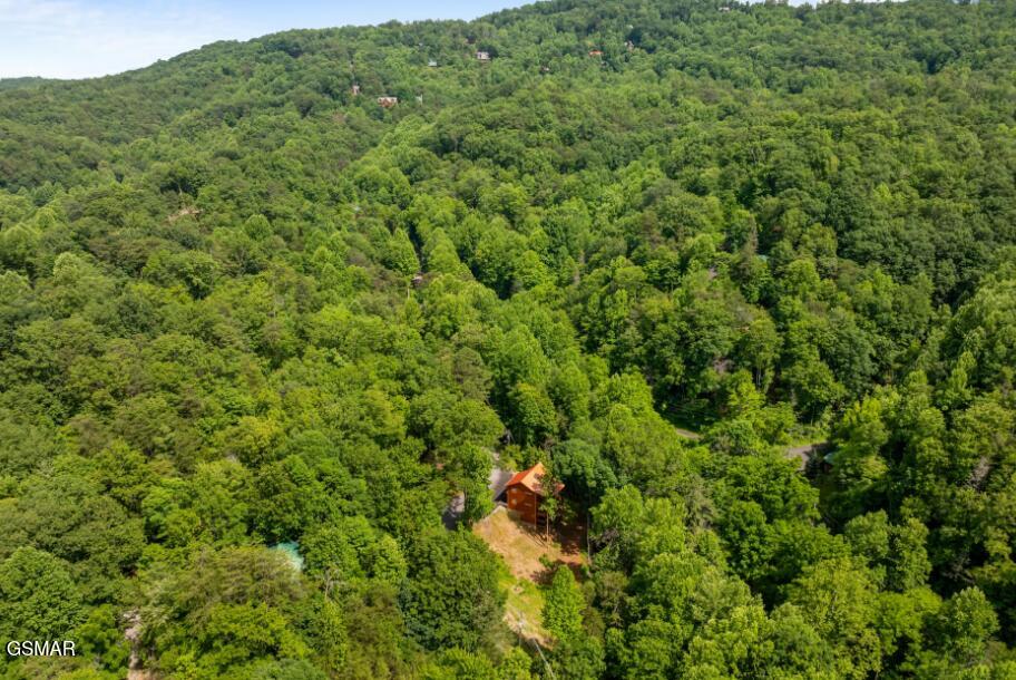 1446 Silver Poplar Lane Sevierville TN 37876
