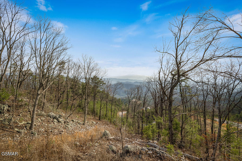 1852 Mountain Ash Way Sevierville TN 37876