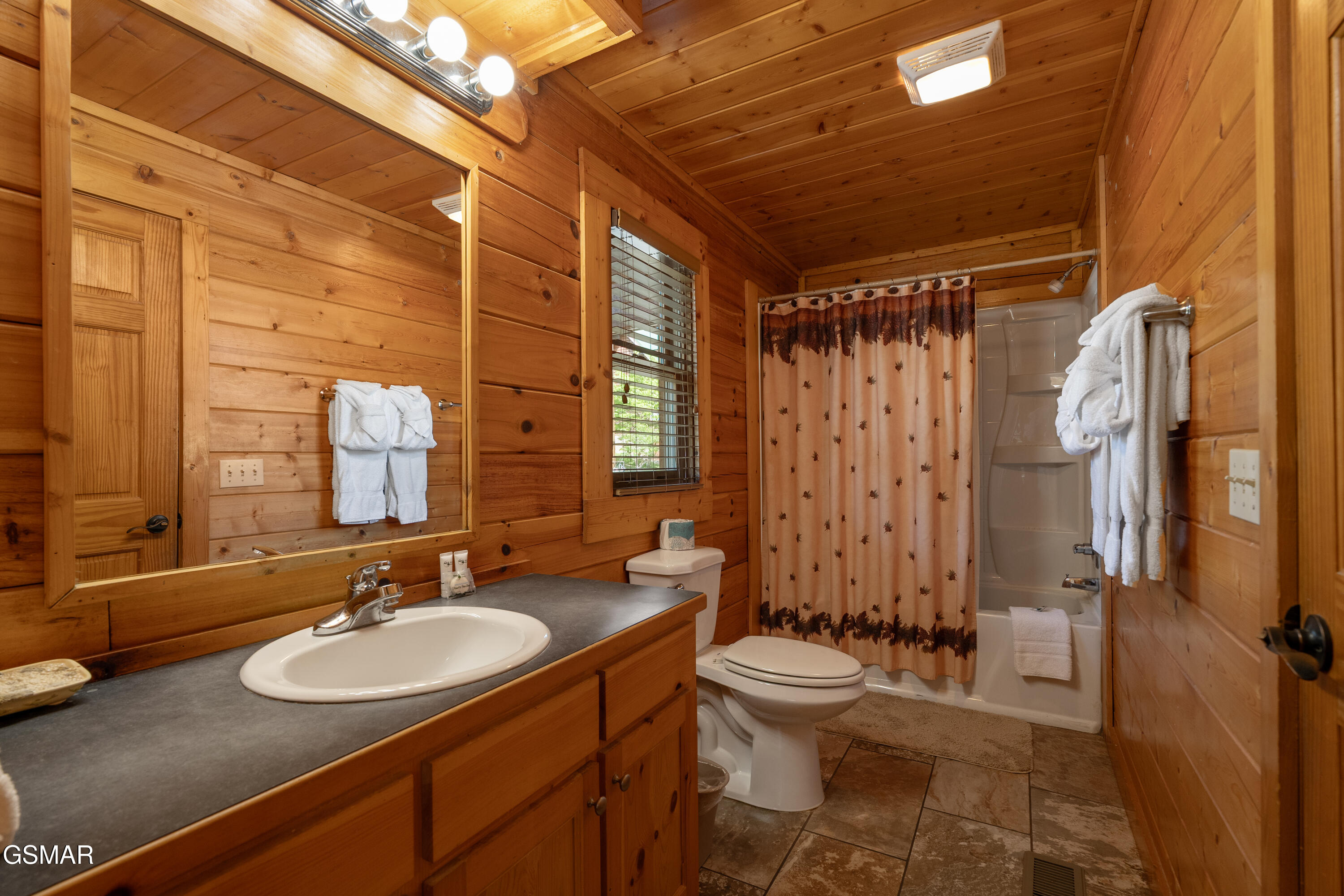 543 Blackberry Ridge Way Pigeon Forge TN 37863