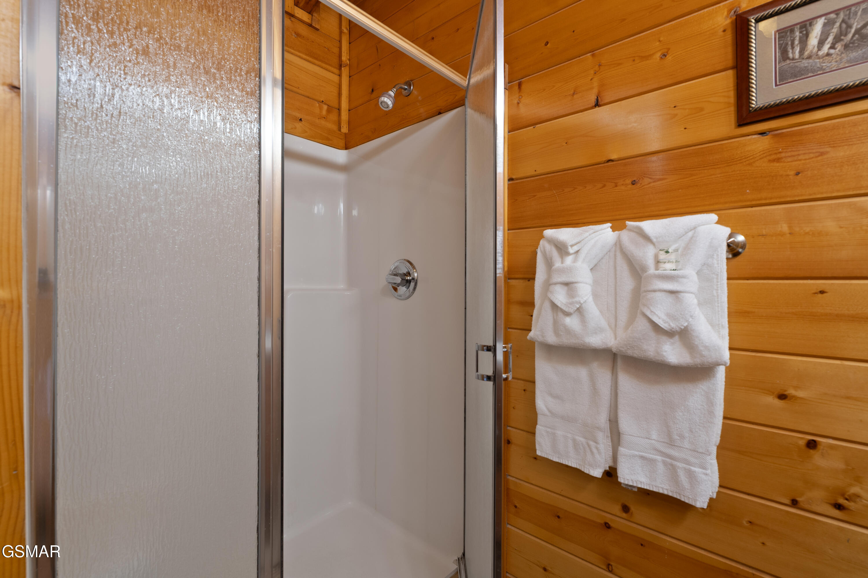 543 Blackberry Ridge Way Pigeon Forge TN 37863