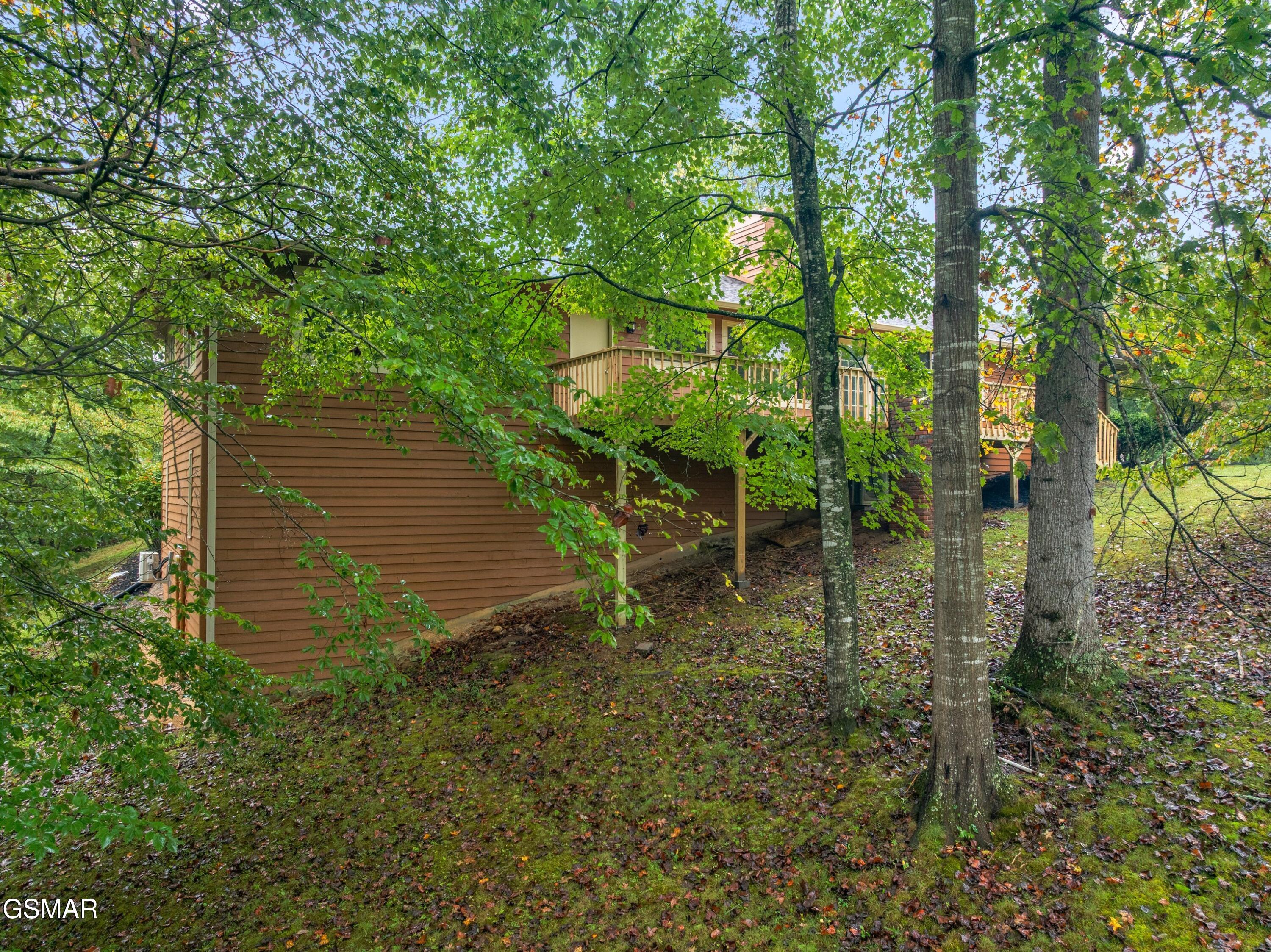 3320 Hazelwood Court Baneberry TN 37890