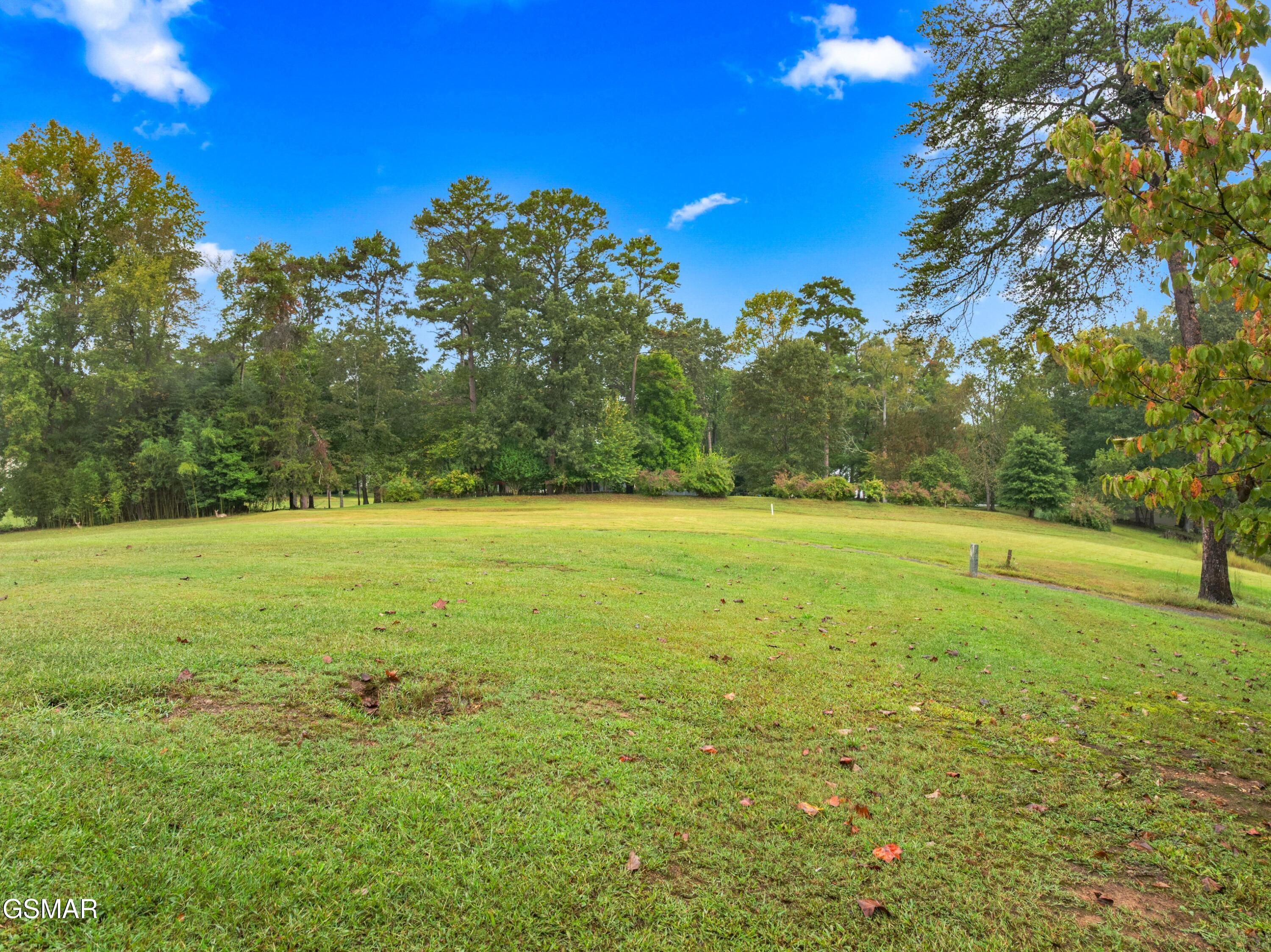 3320 Hazelwood Court Baneberry TN 37890