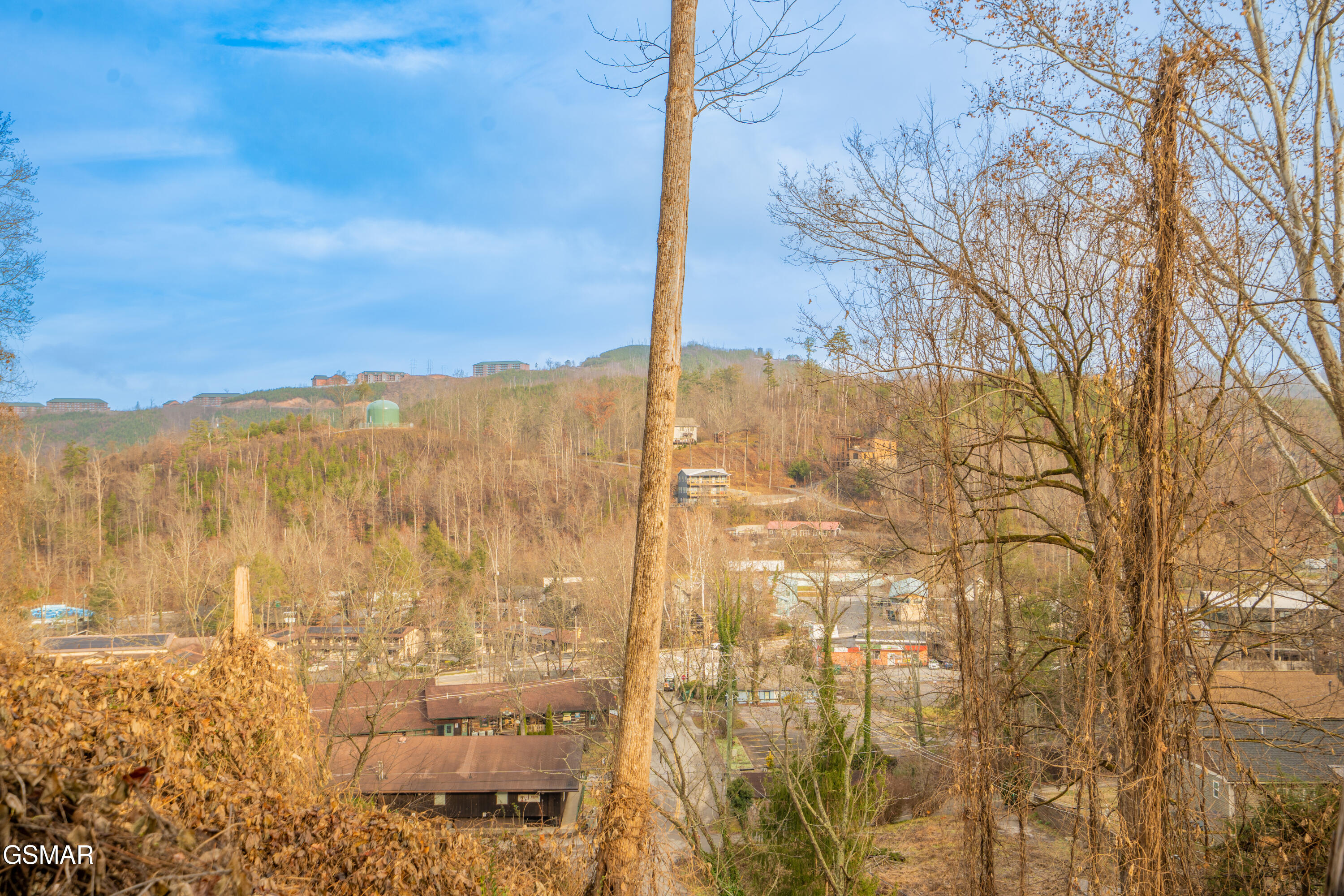 230 Silverbell Lane Gatlinburg TN 37738